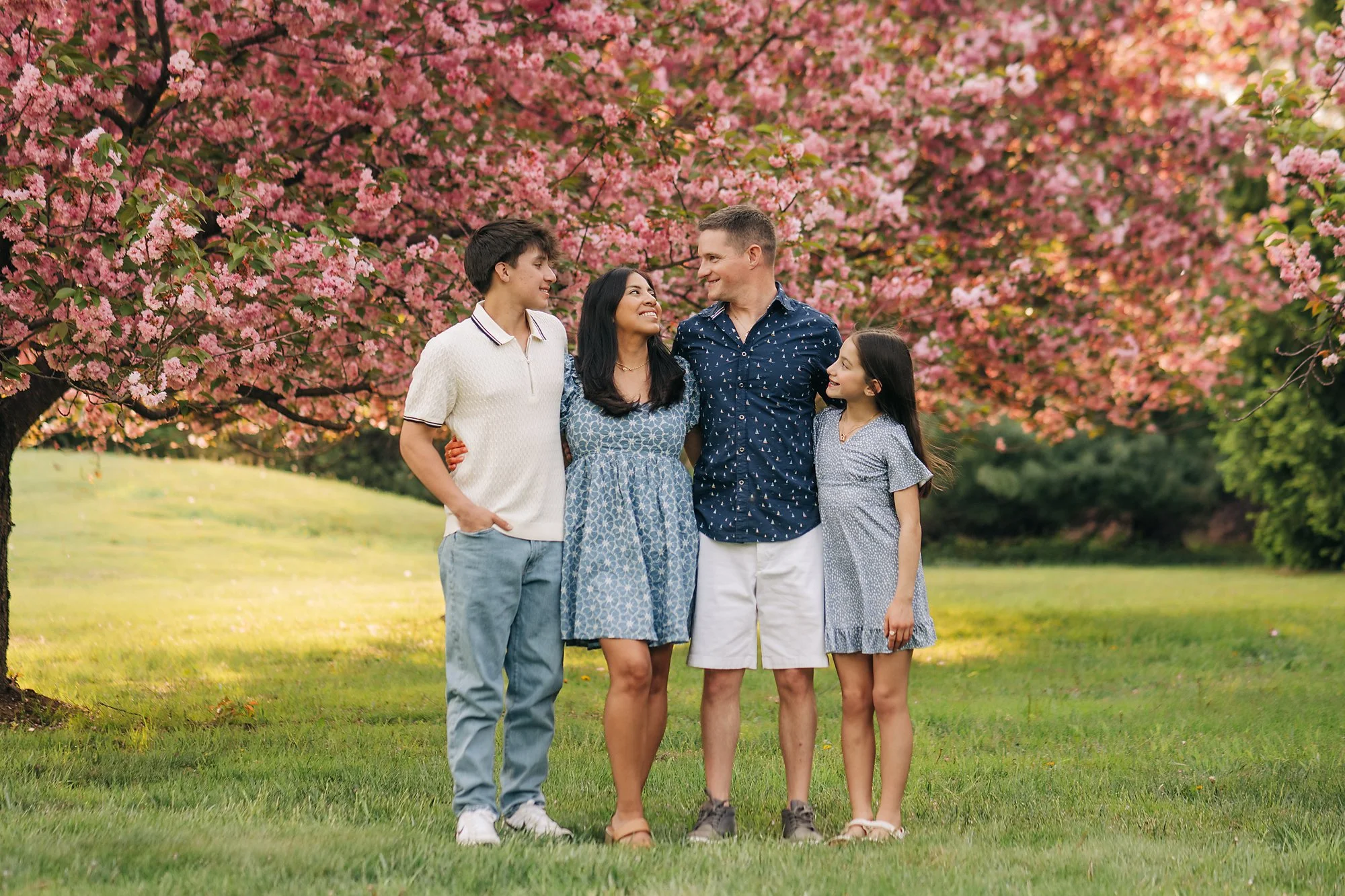 cherry blossoms0052 copy.jpg