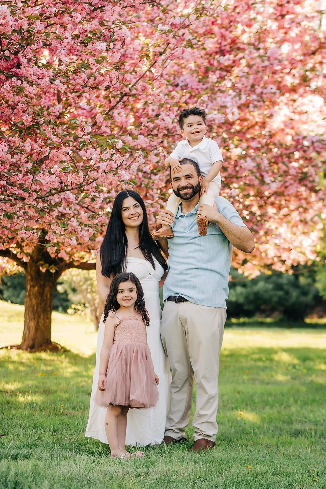 cherryblossoms0013 copy.jpg