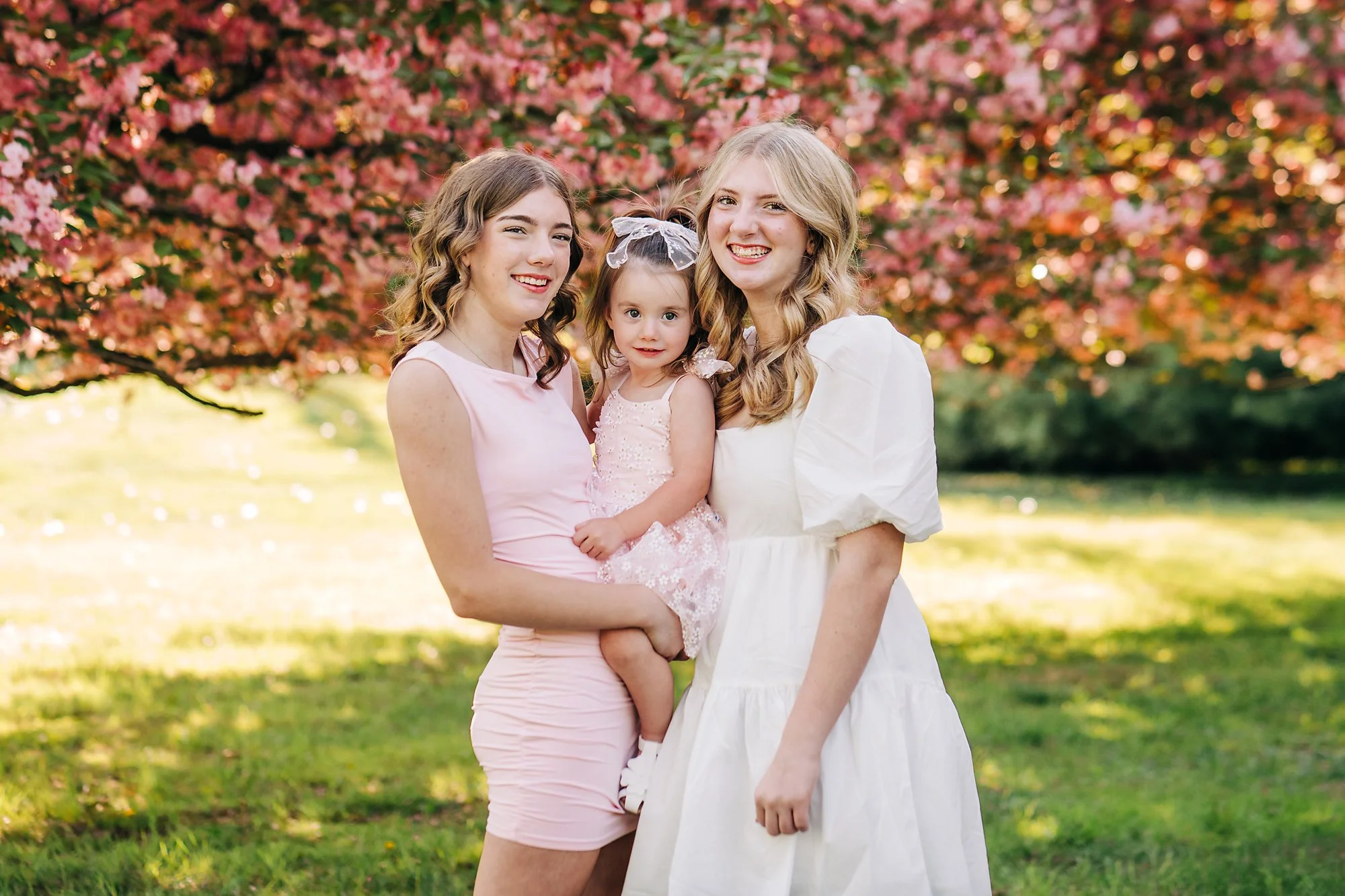 cherry blossoms0036 copy.jpg