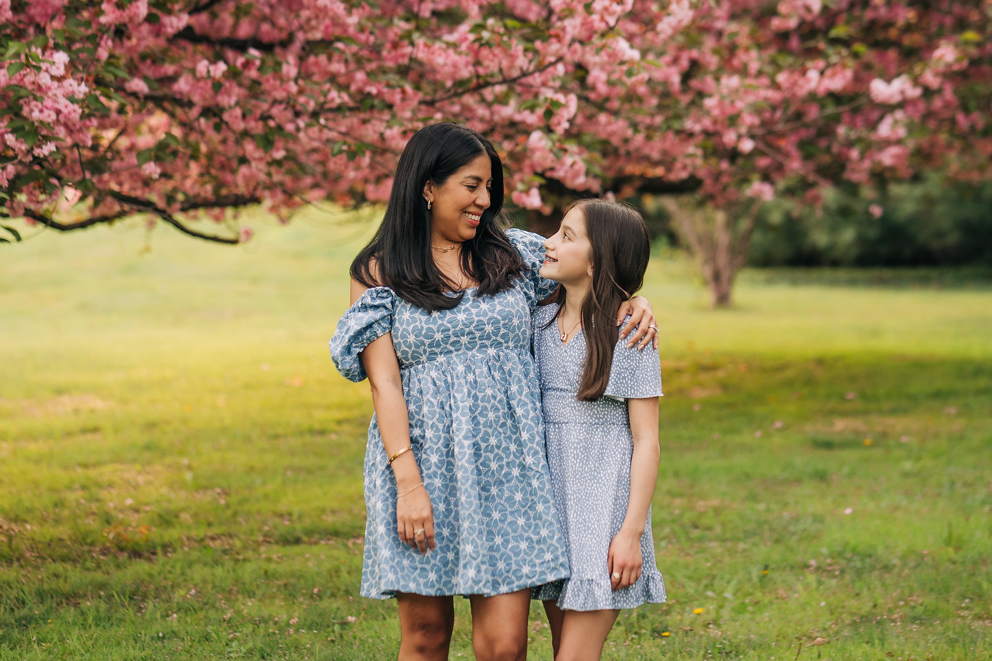 cherry blossoms0124 copy.jpg