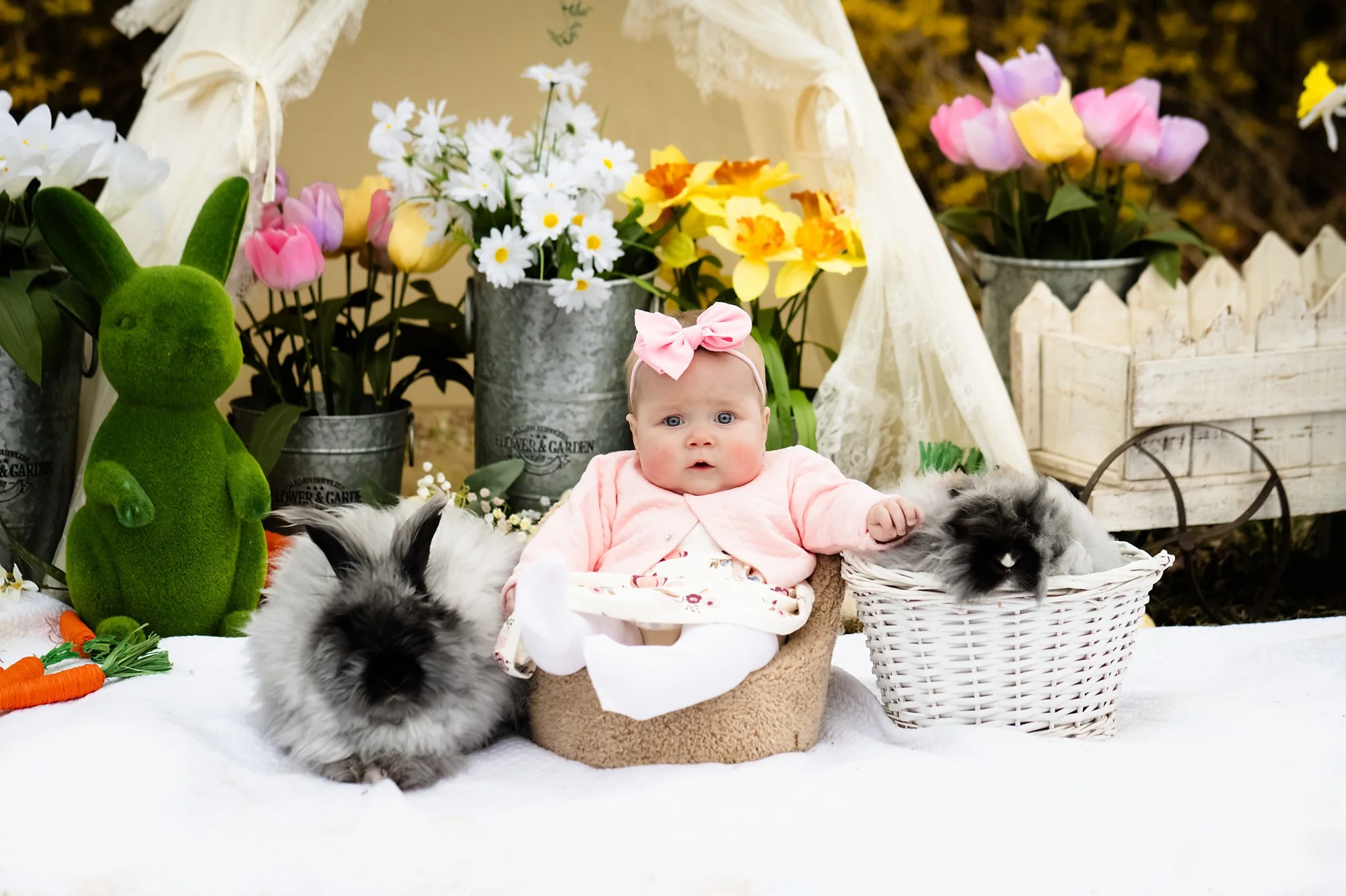 easter0113-Enhanced-NR copy.jpg