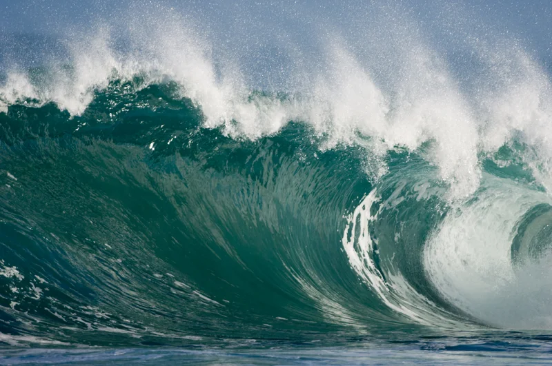 wave.jpg