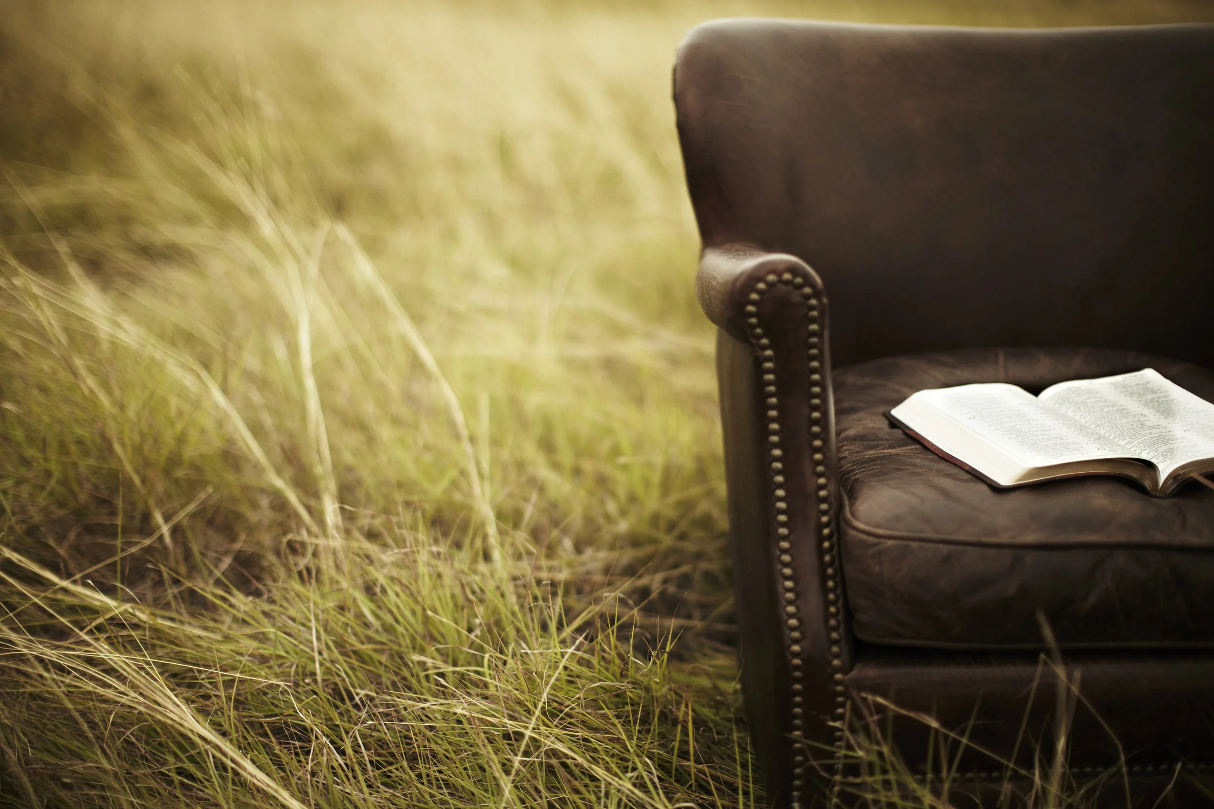 chair%20in%20a%20field.jpg