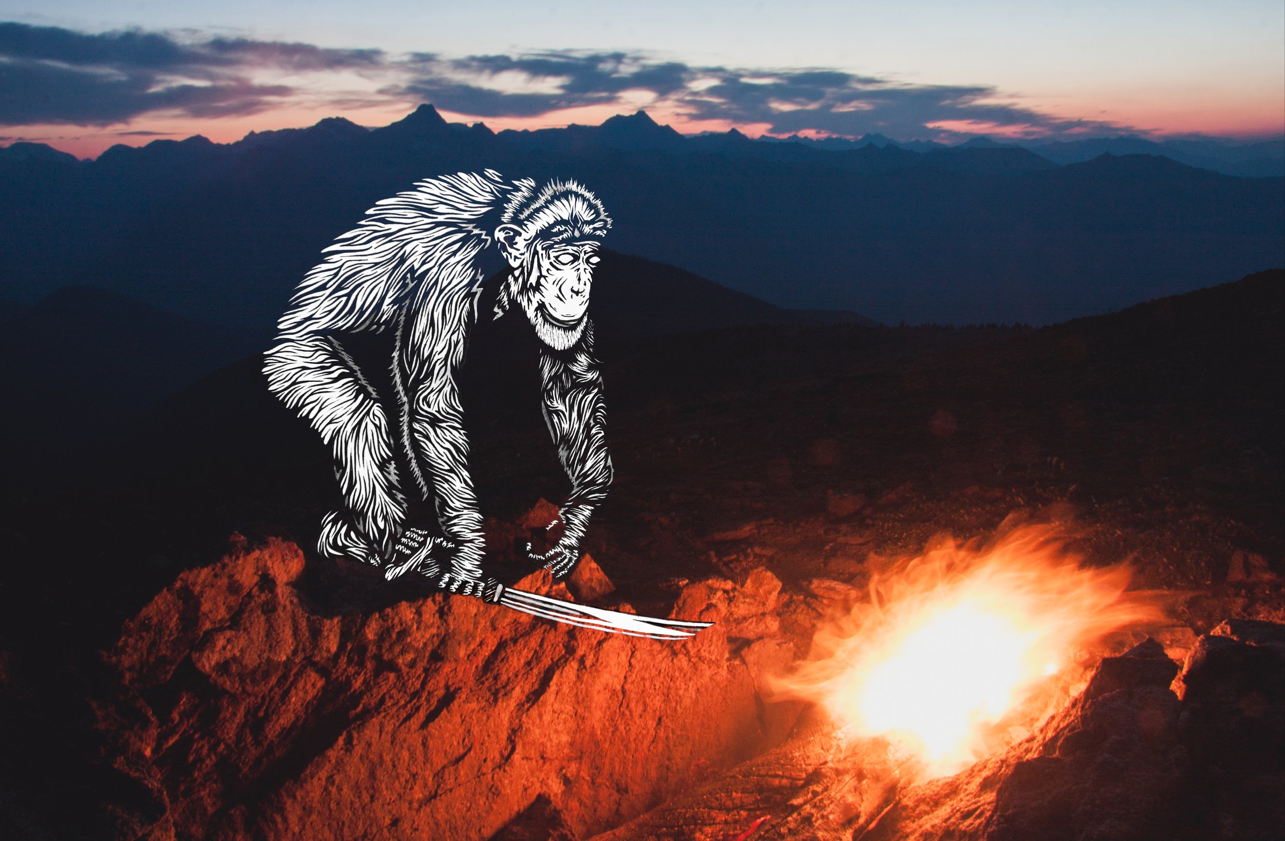 monkeykillingmonkeyyy.jpg