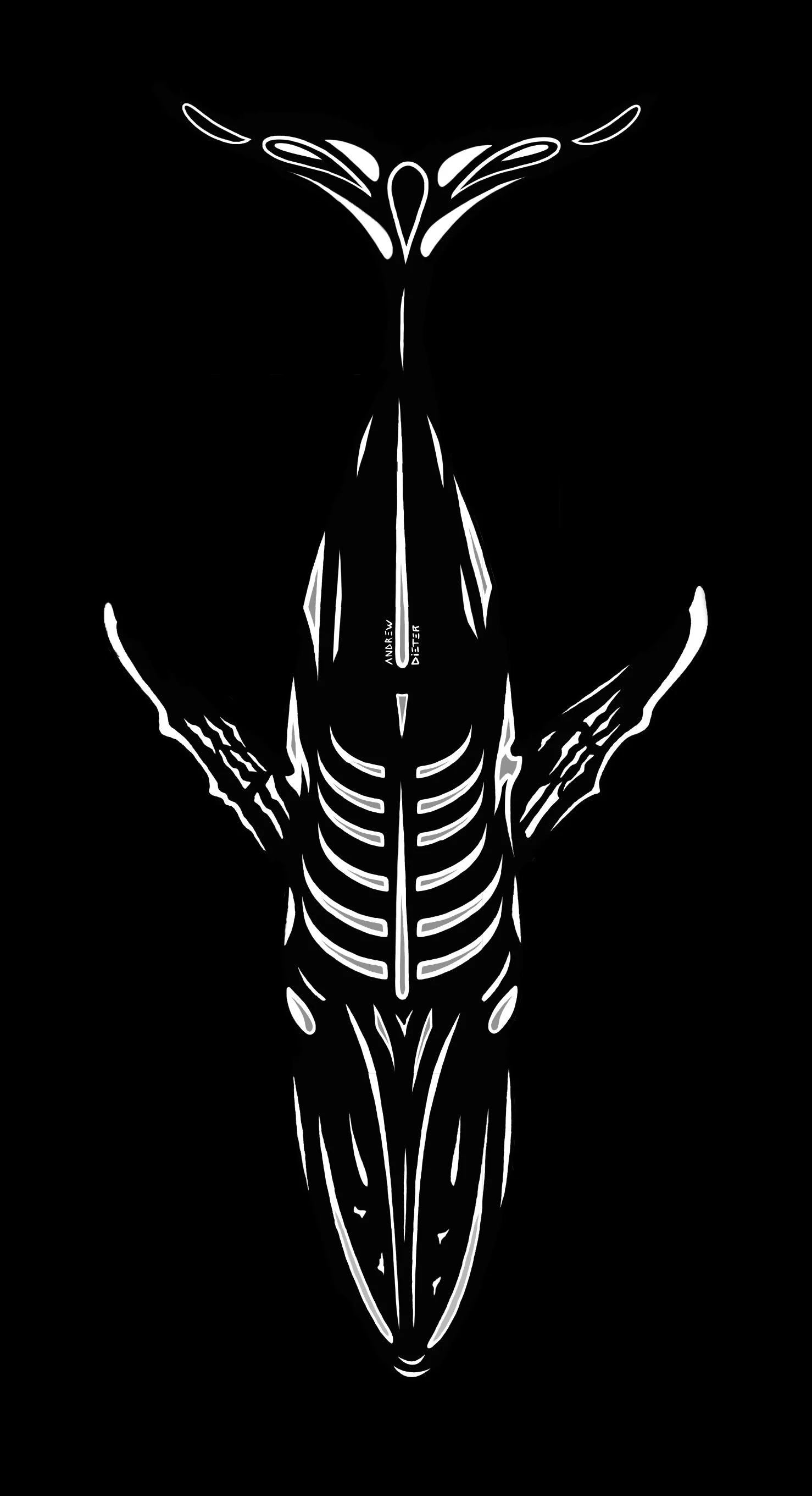 humpback black background.jpg