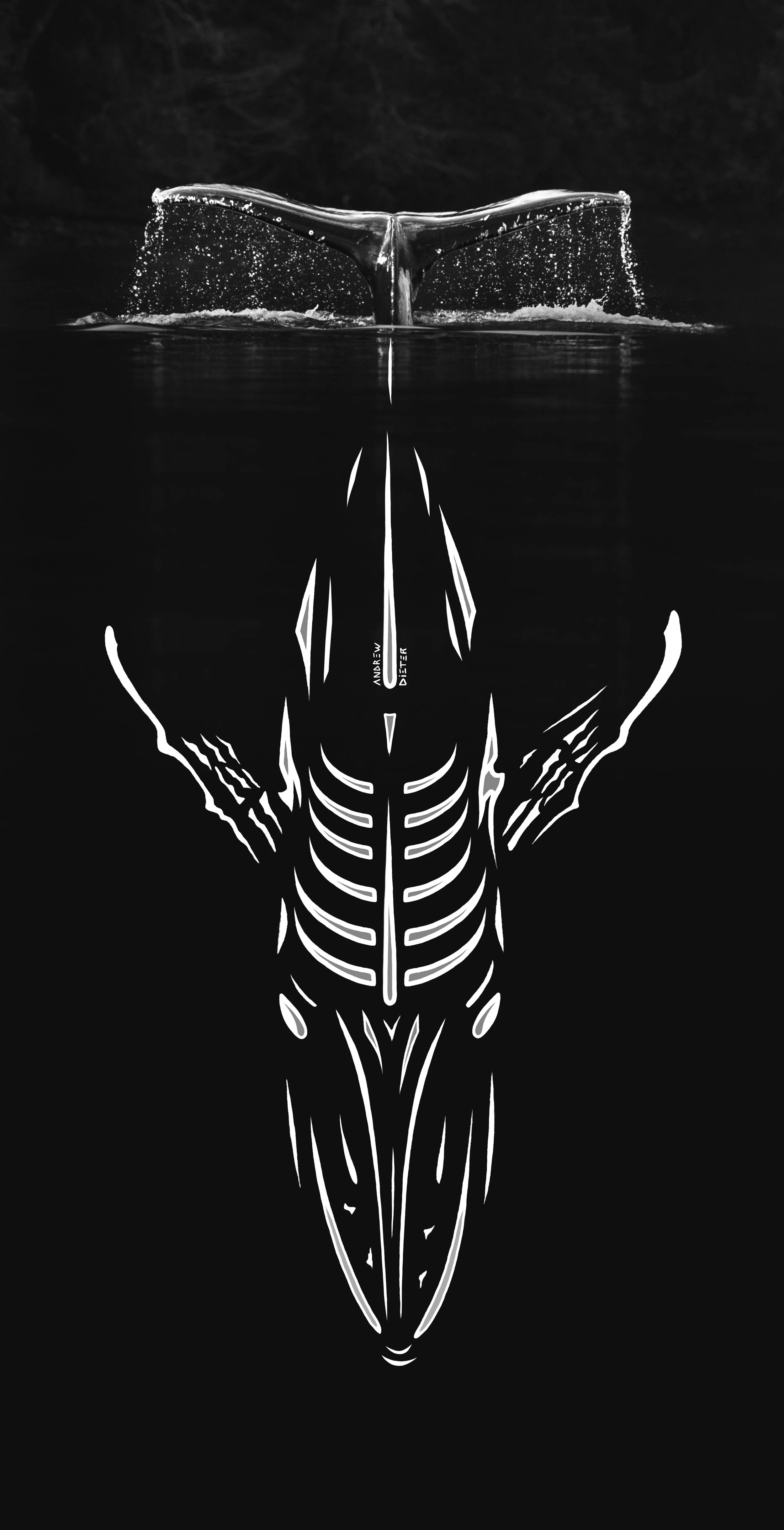 whaletaildrawingphoto.jpg
