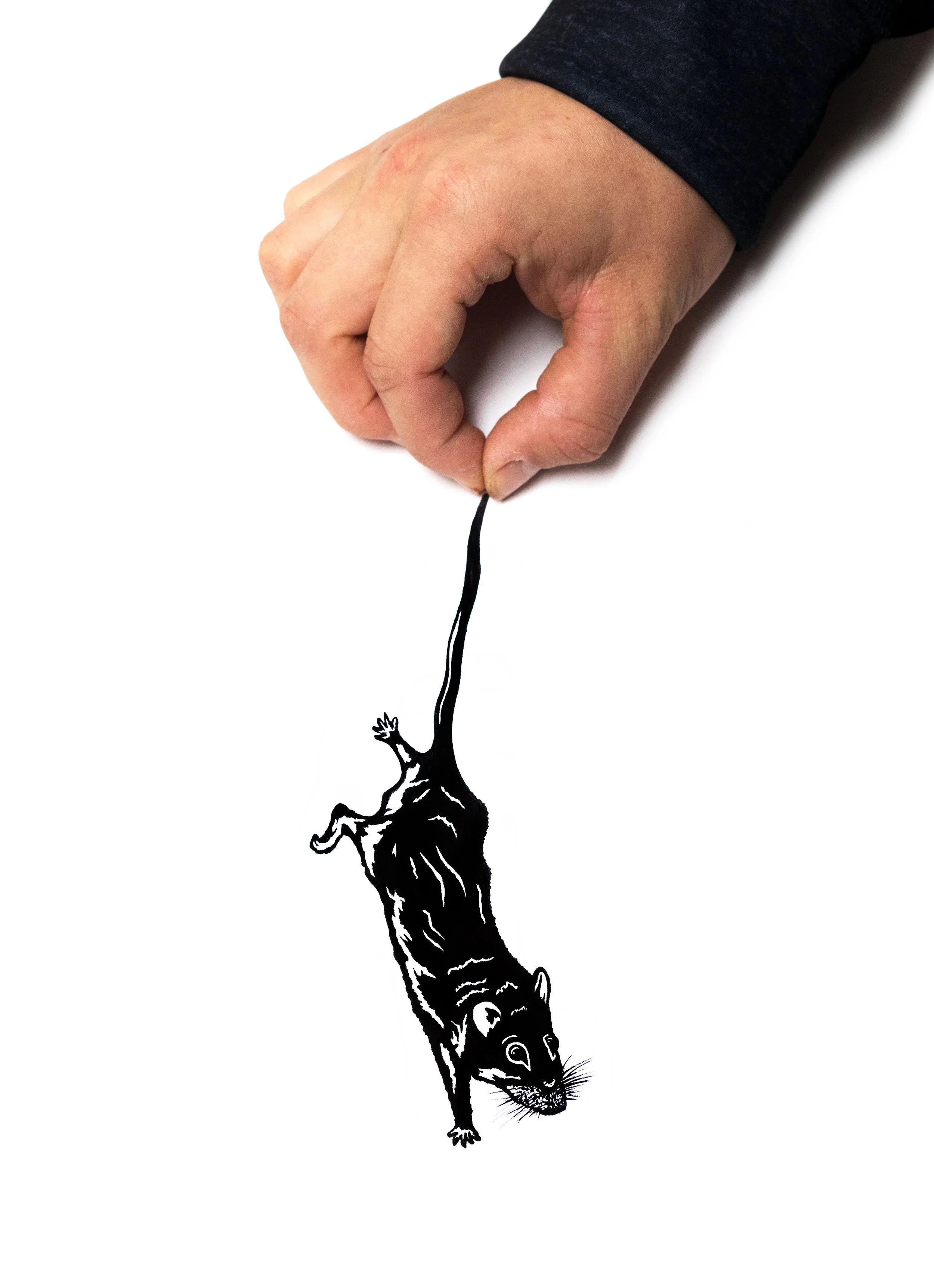 Mouseprintfinal.jpg