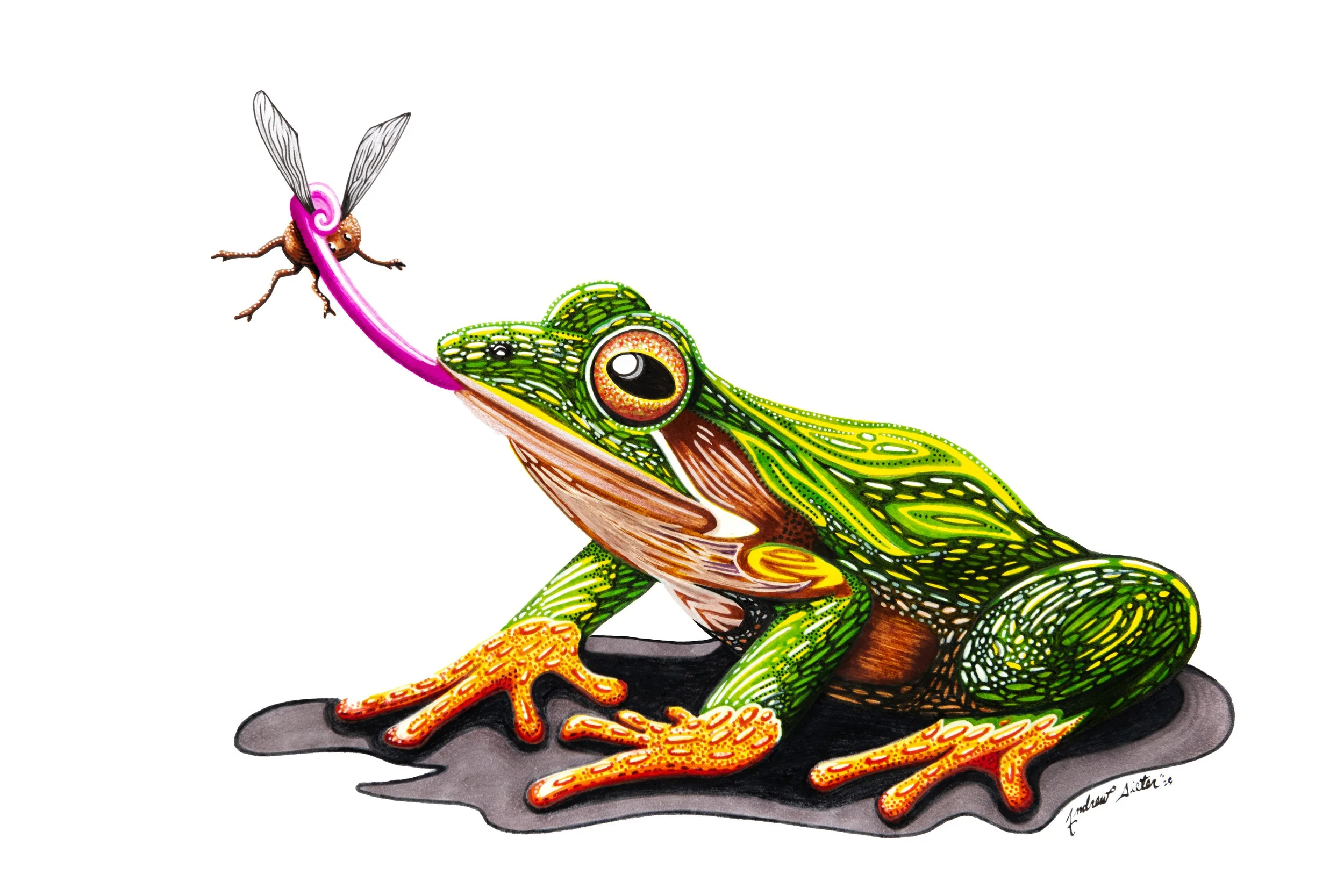 FrogginAroundFinalFinal.jpg