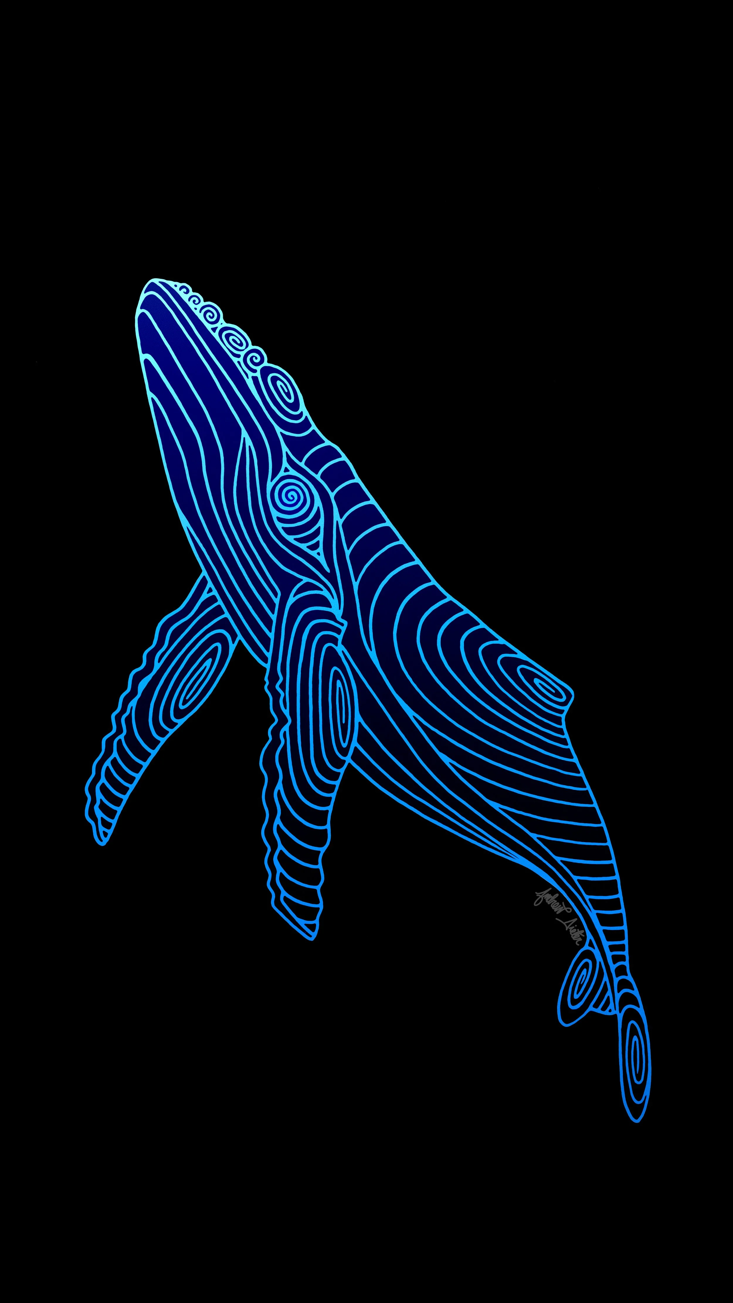 whale line art.jpg