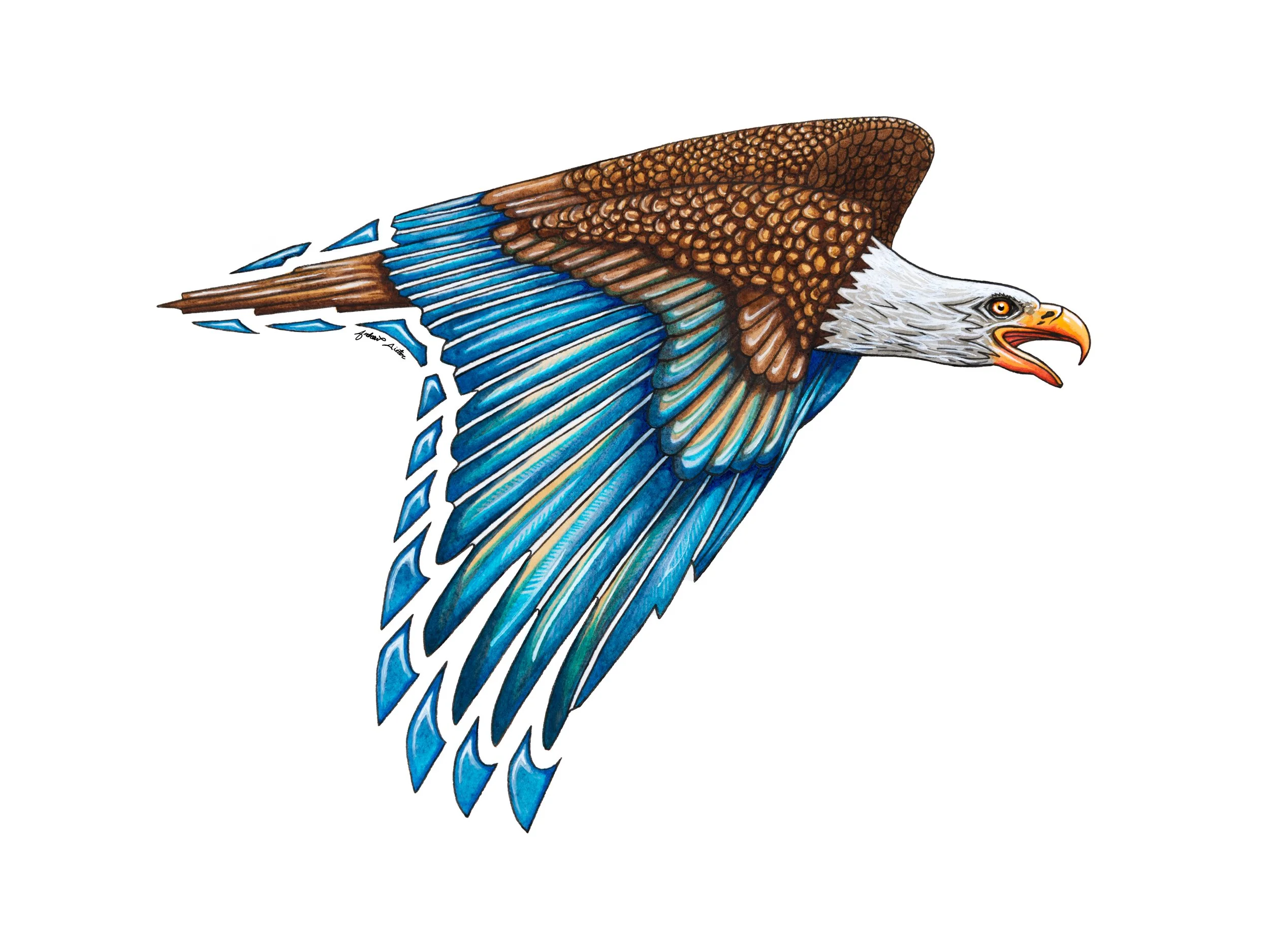 eaglewatercolour (1).jpg