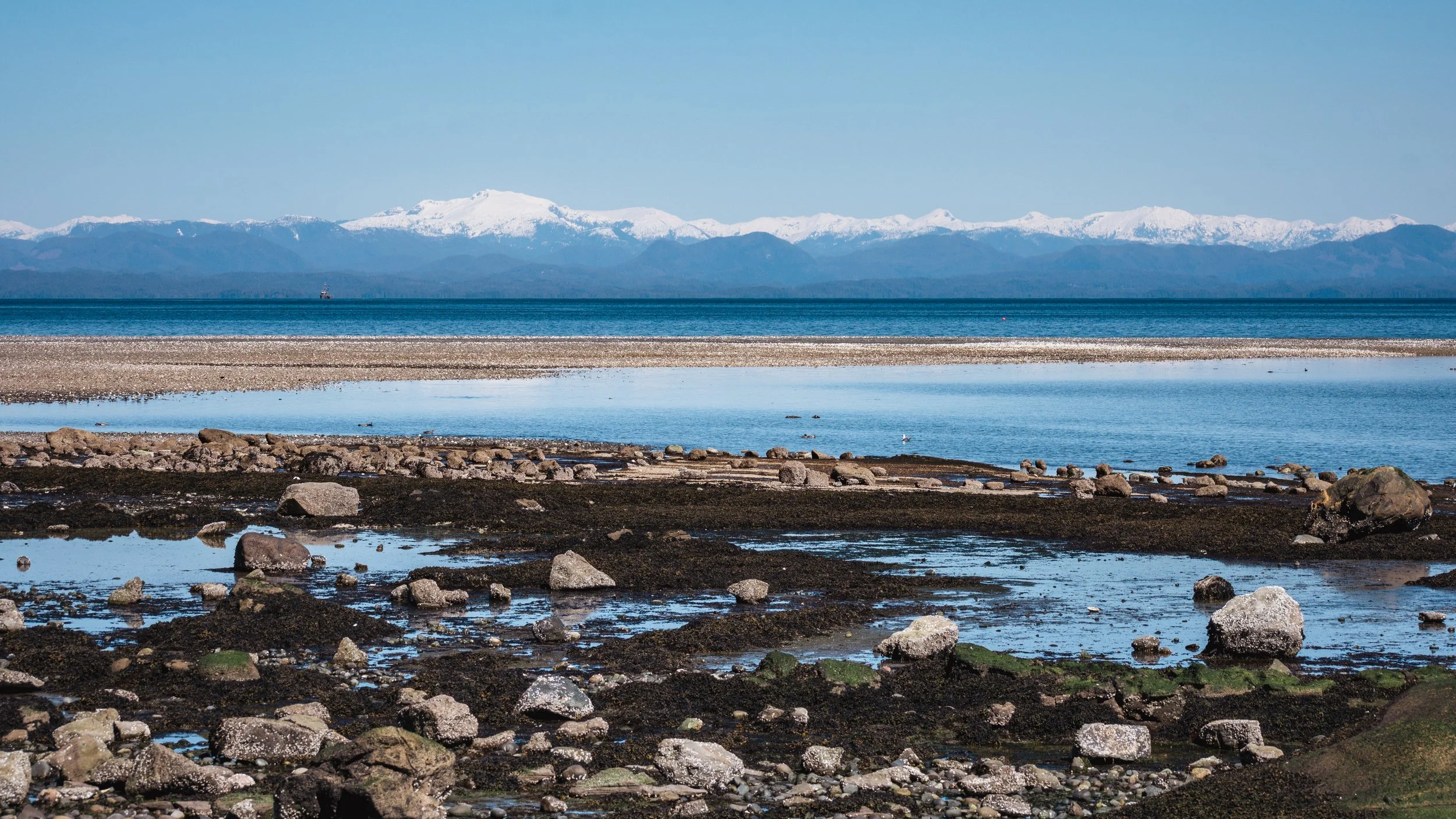DSC_0112-2.jpg