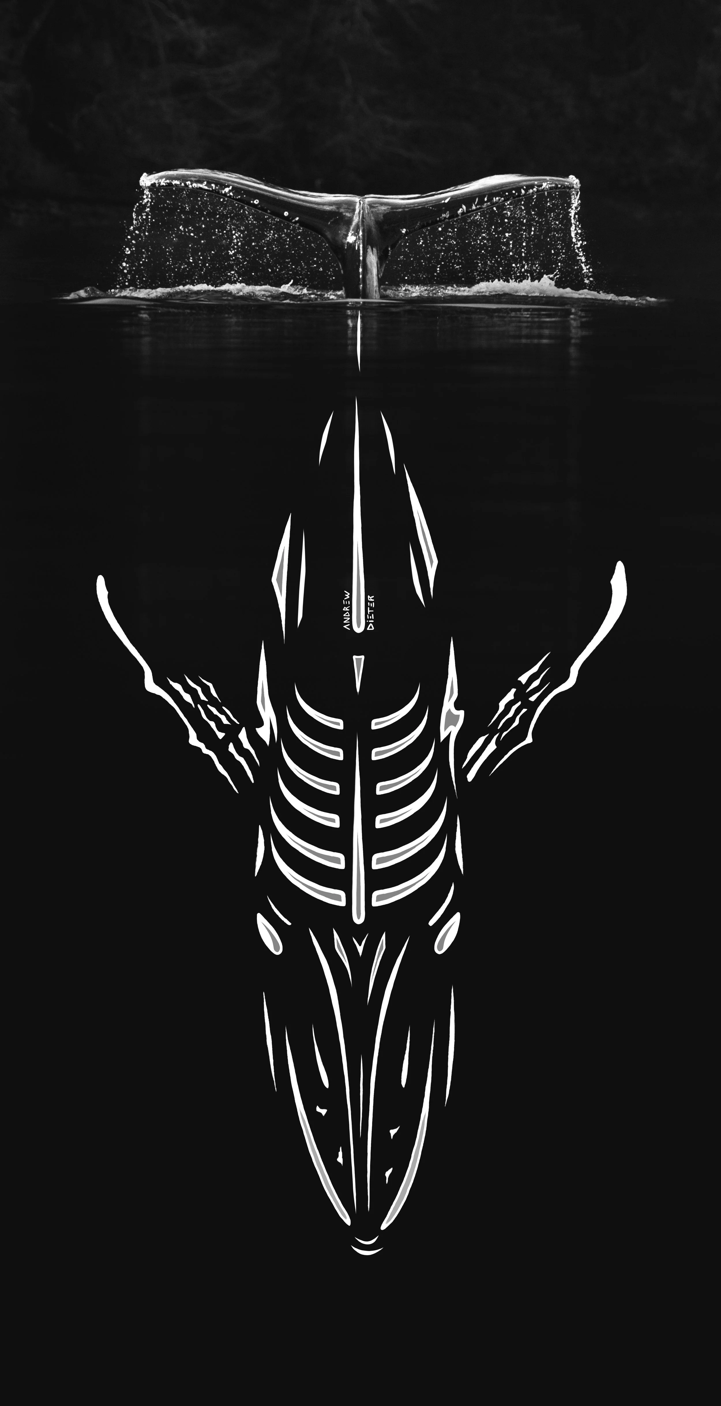 whaletaildrawingphotoFINAL.jpg