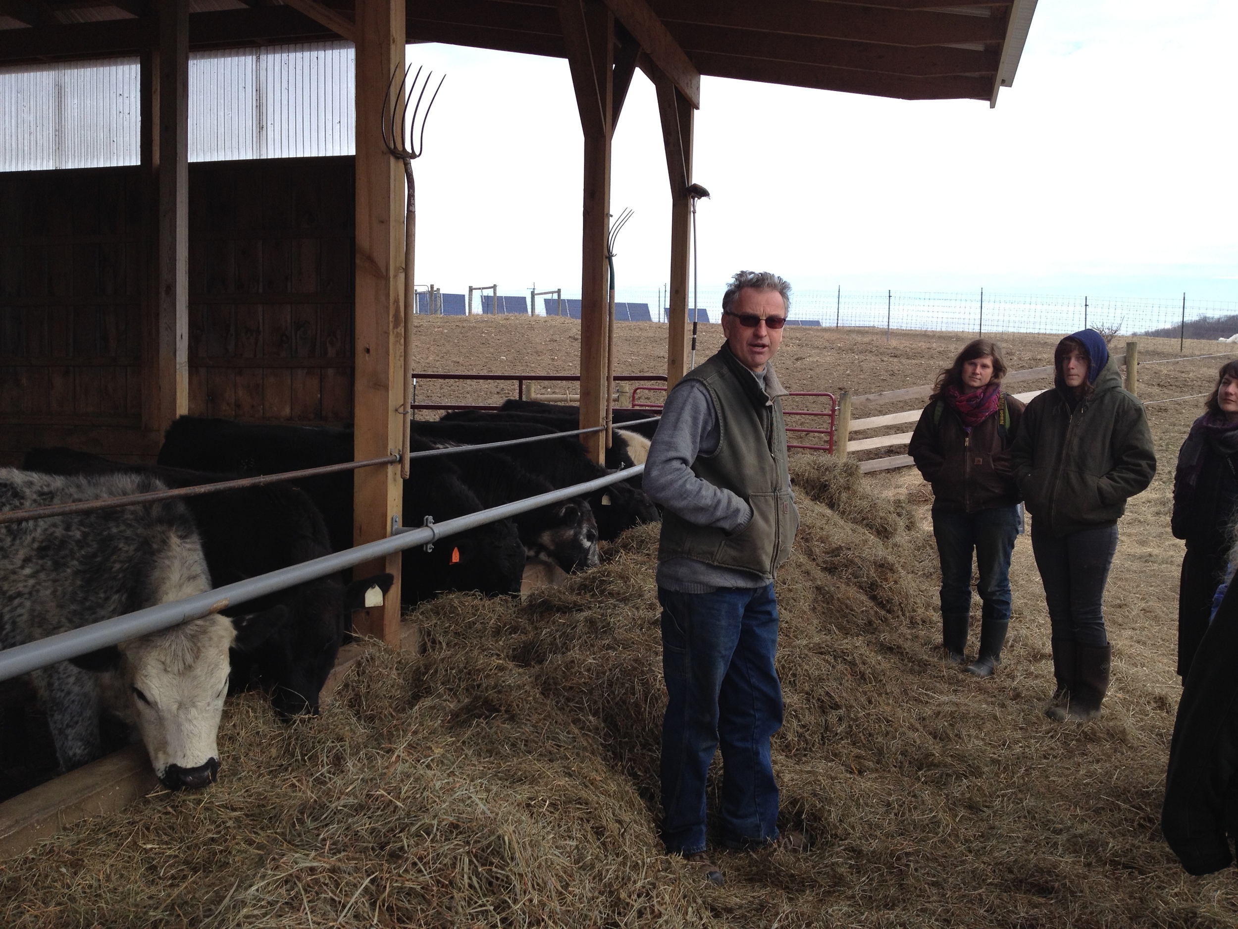 Jean-Paul Courtens chats with us about how cows improve the soil fertility at Roxbury Farm.