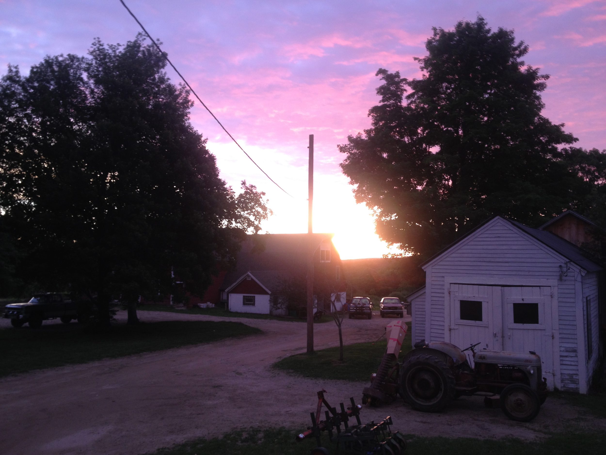 The sun rises at 5:00am on our season's first big harvest day.