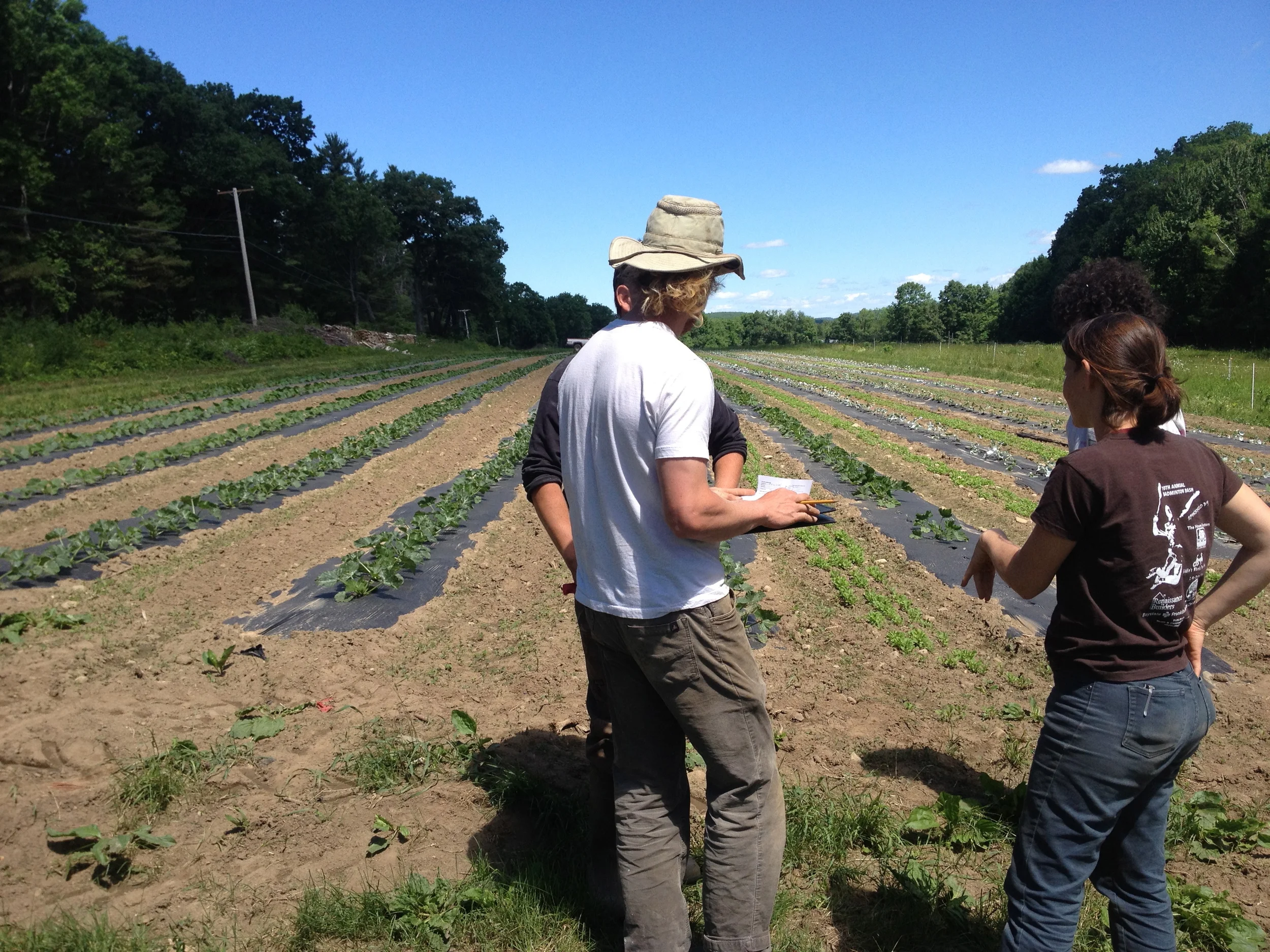Investigating our growing pest and disease issues with Katie, an expert from the UMass Ag Extension Agency.
