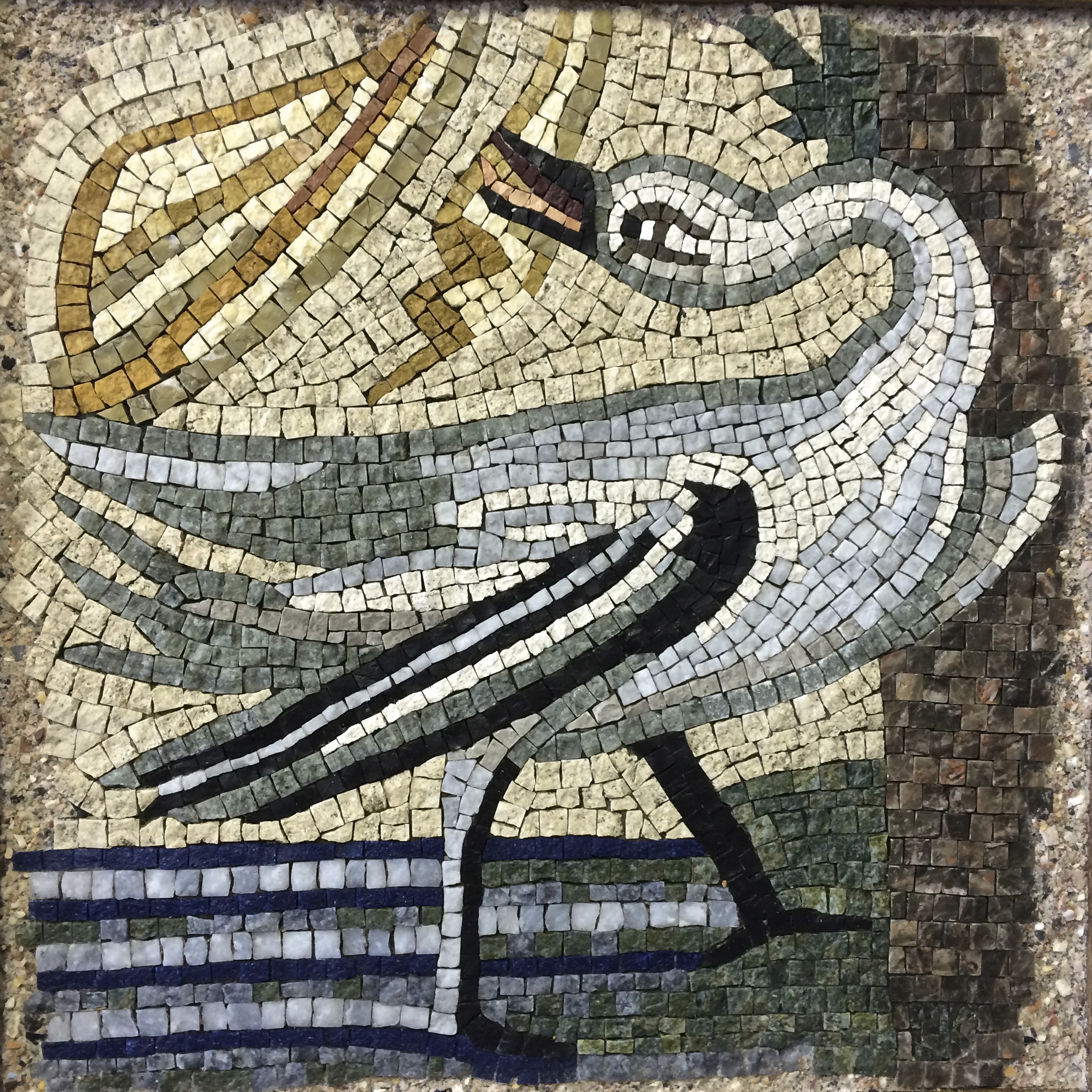 The Swan