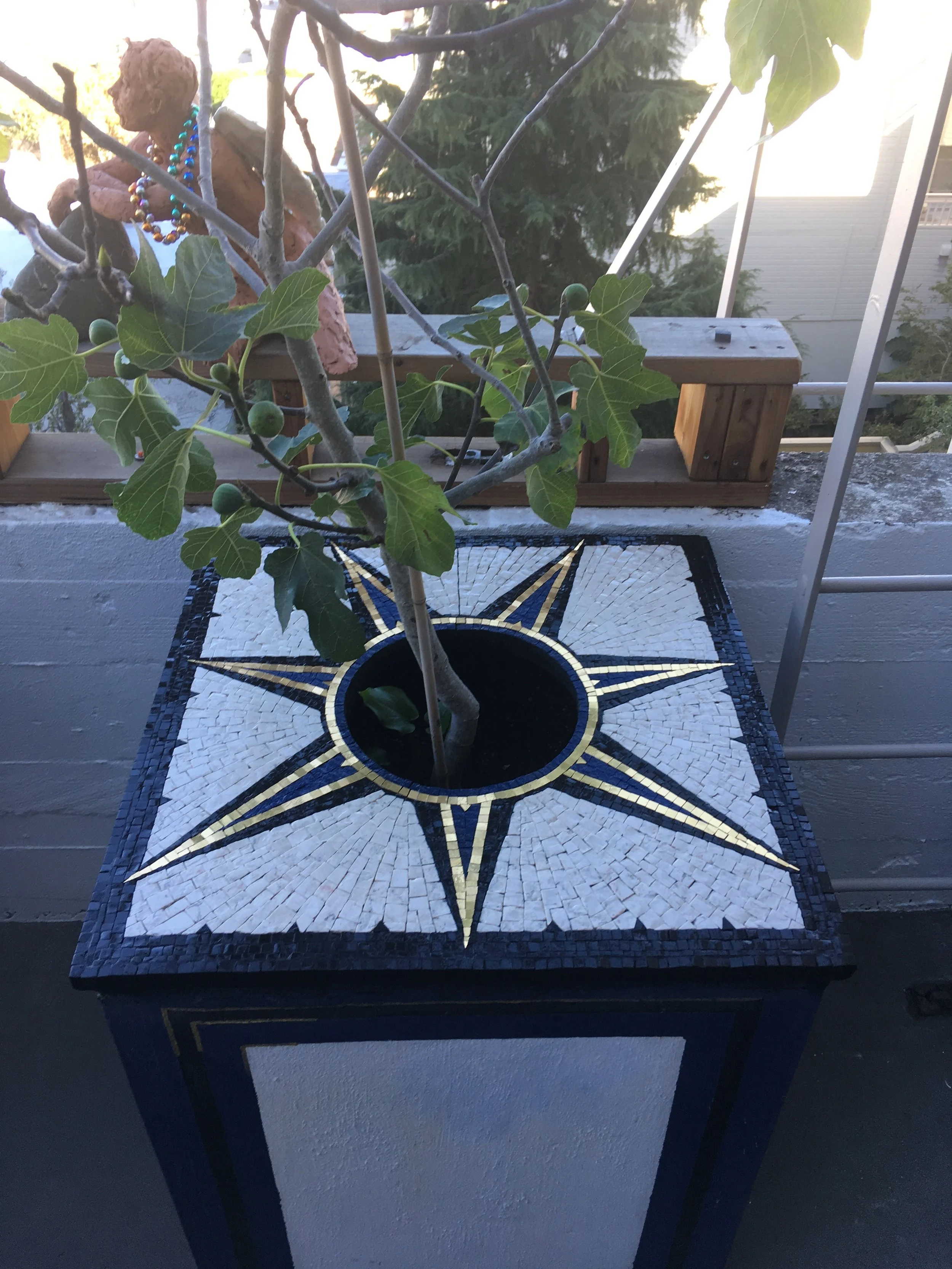 7 Pointed Star