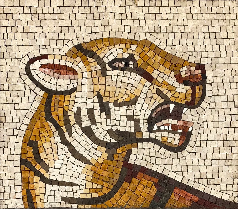 Ancient Tiger