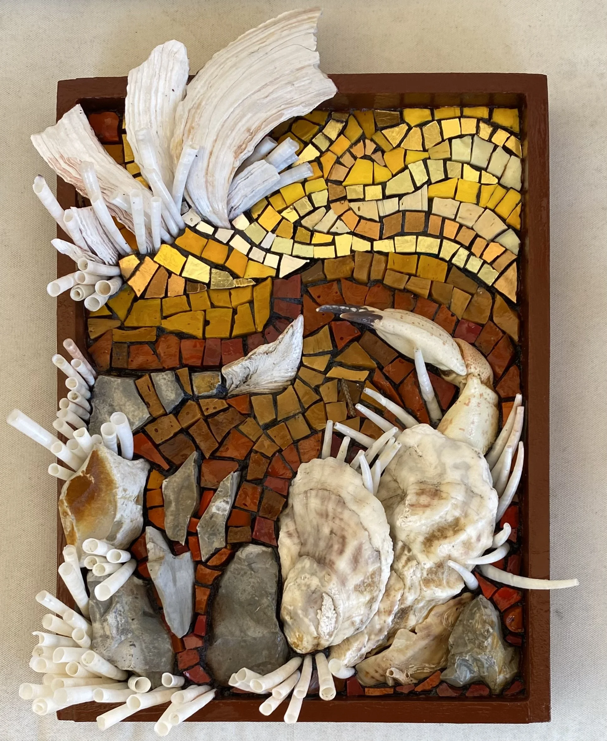 Tide Pool