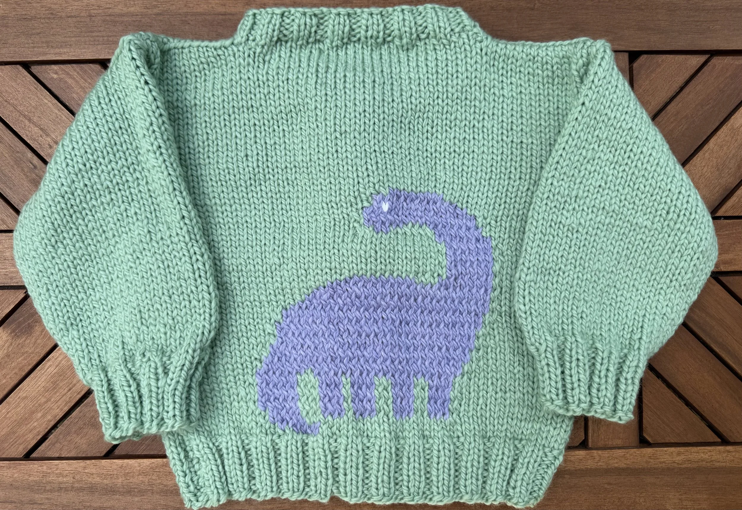 dinobabysweaterback1.jpeg
