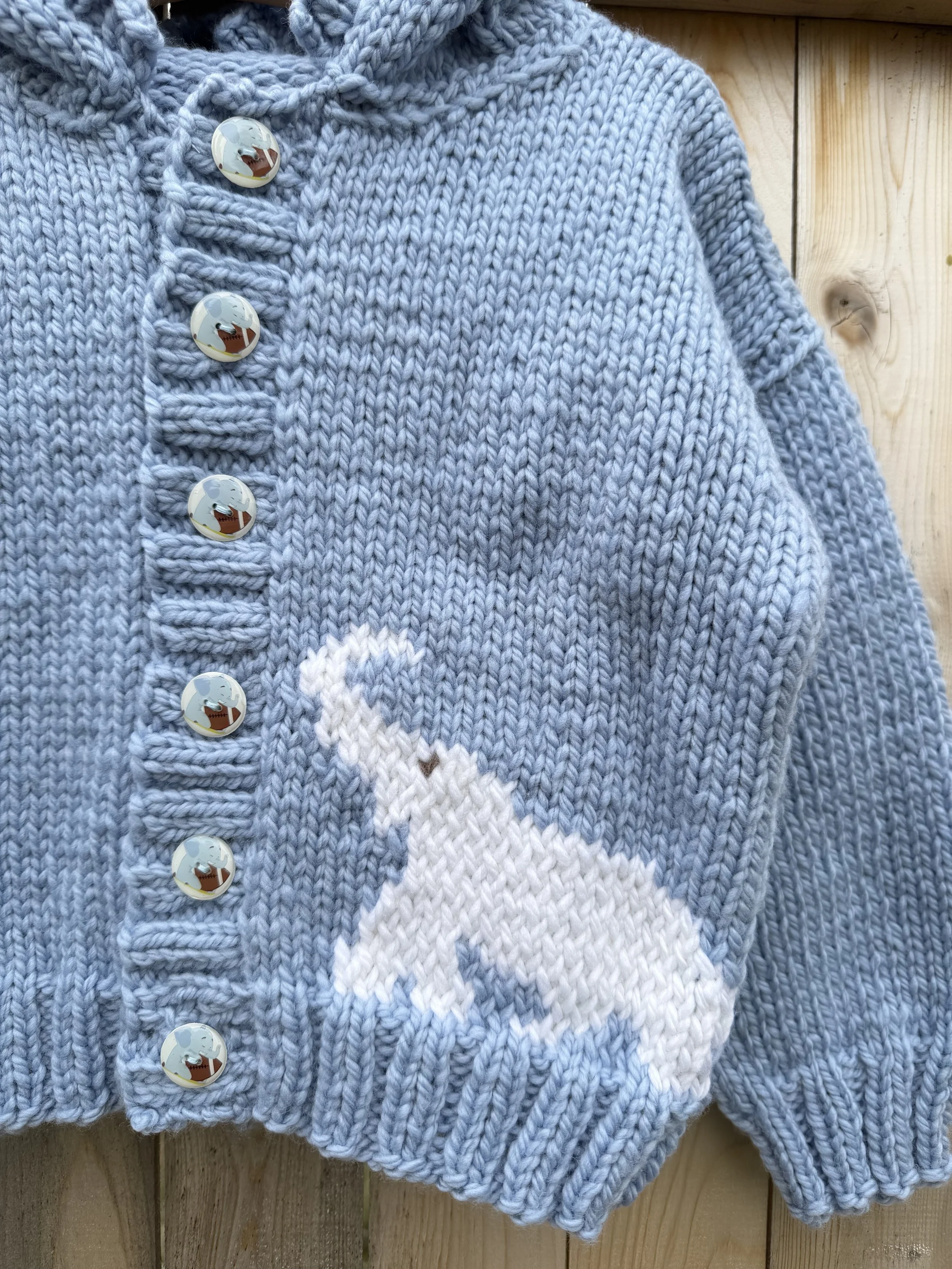 blueelephantsweater1.jpg