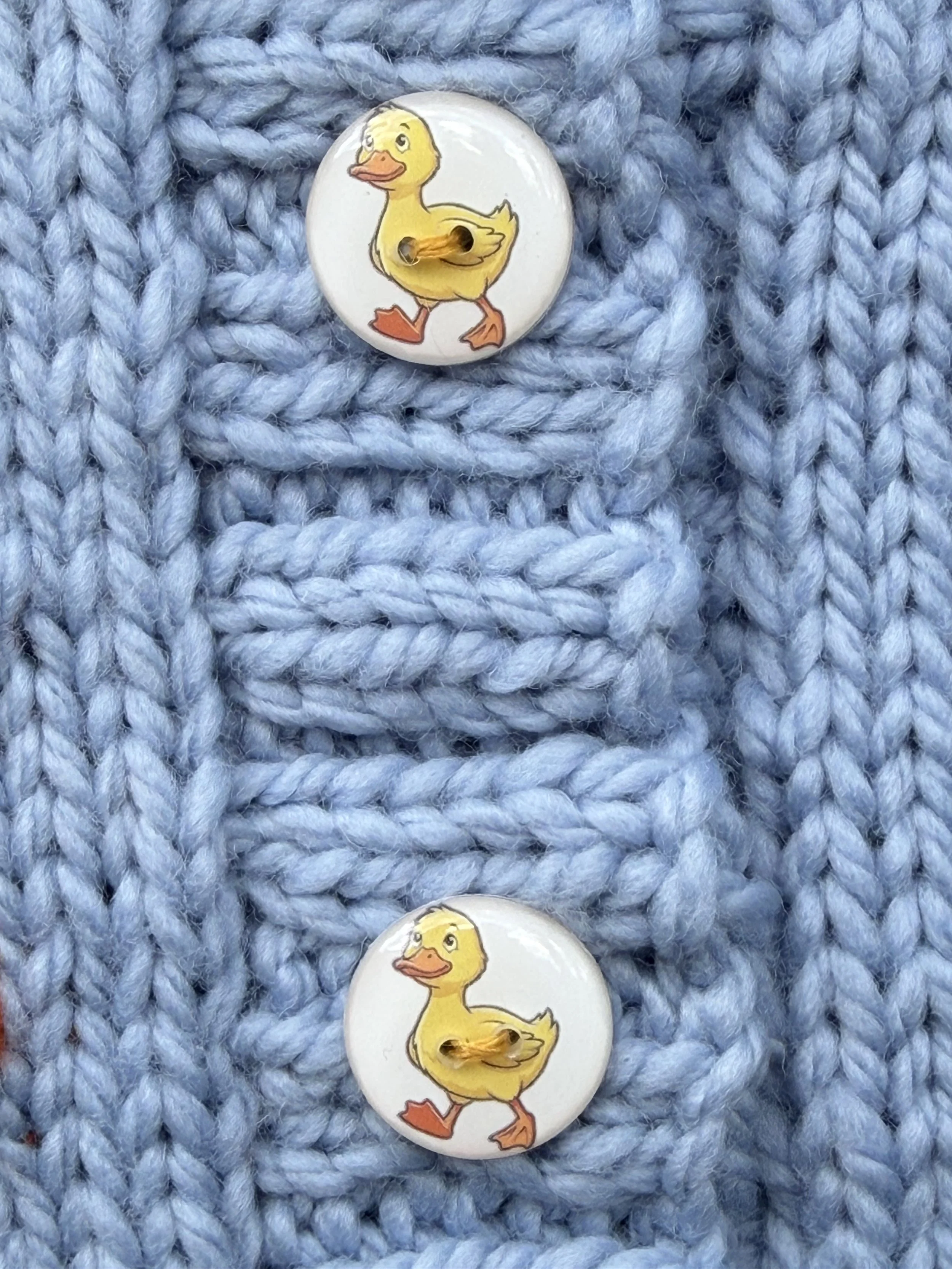 blueducksweaterbuttons.jpeg