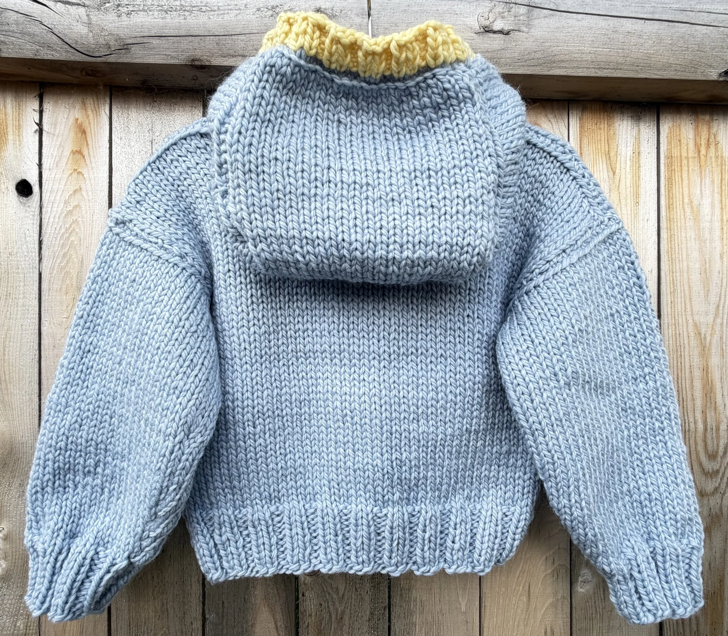 blueducksweaterback.jpeg