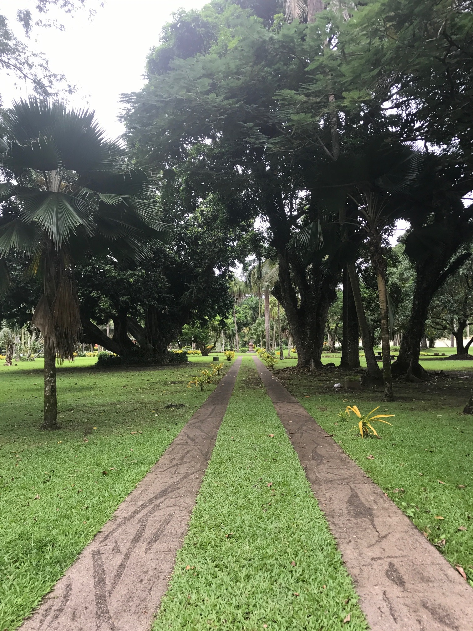 Walkway through the gardens. 
