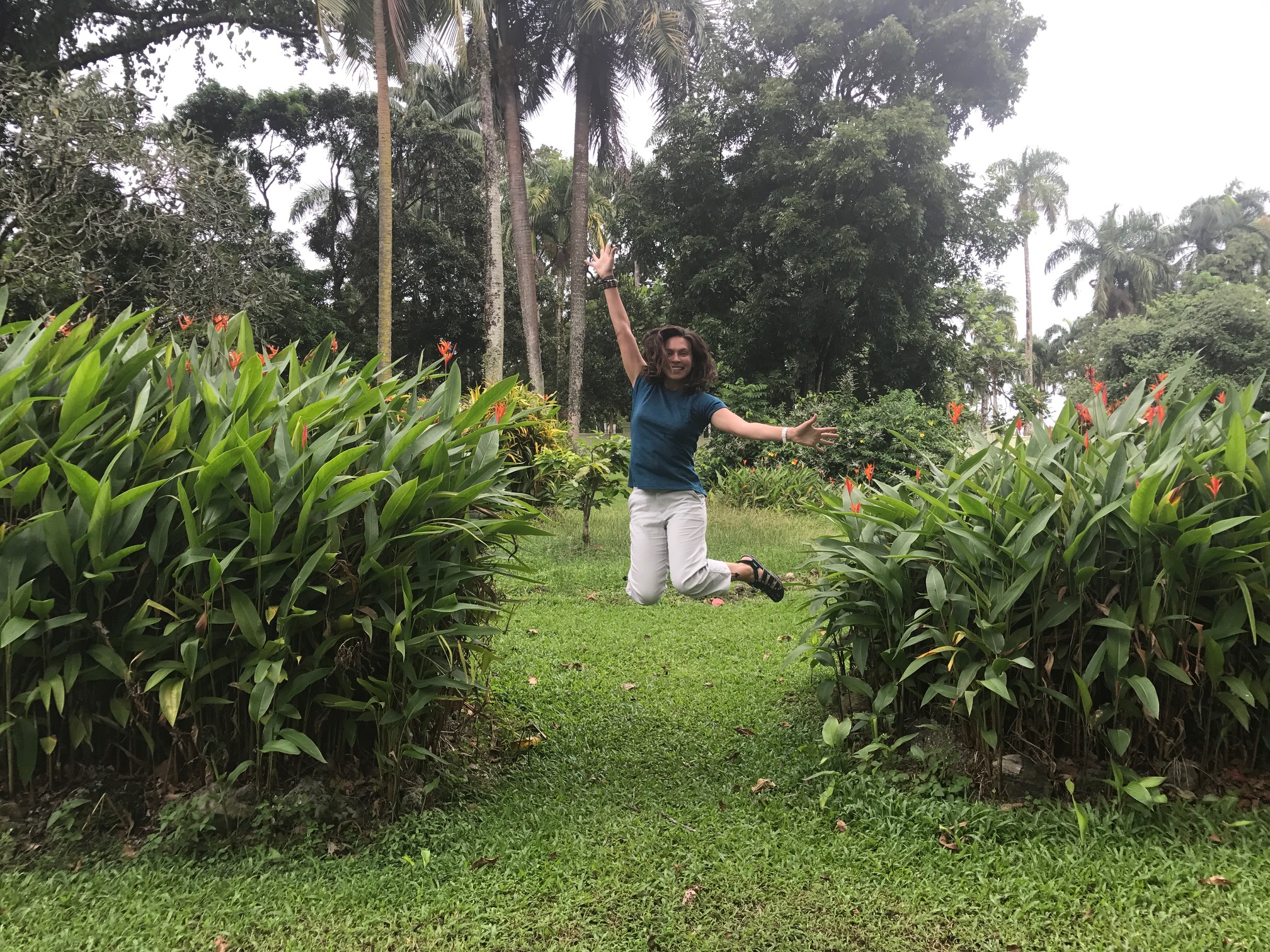 Classic jumping photo. 