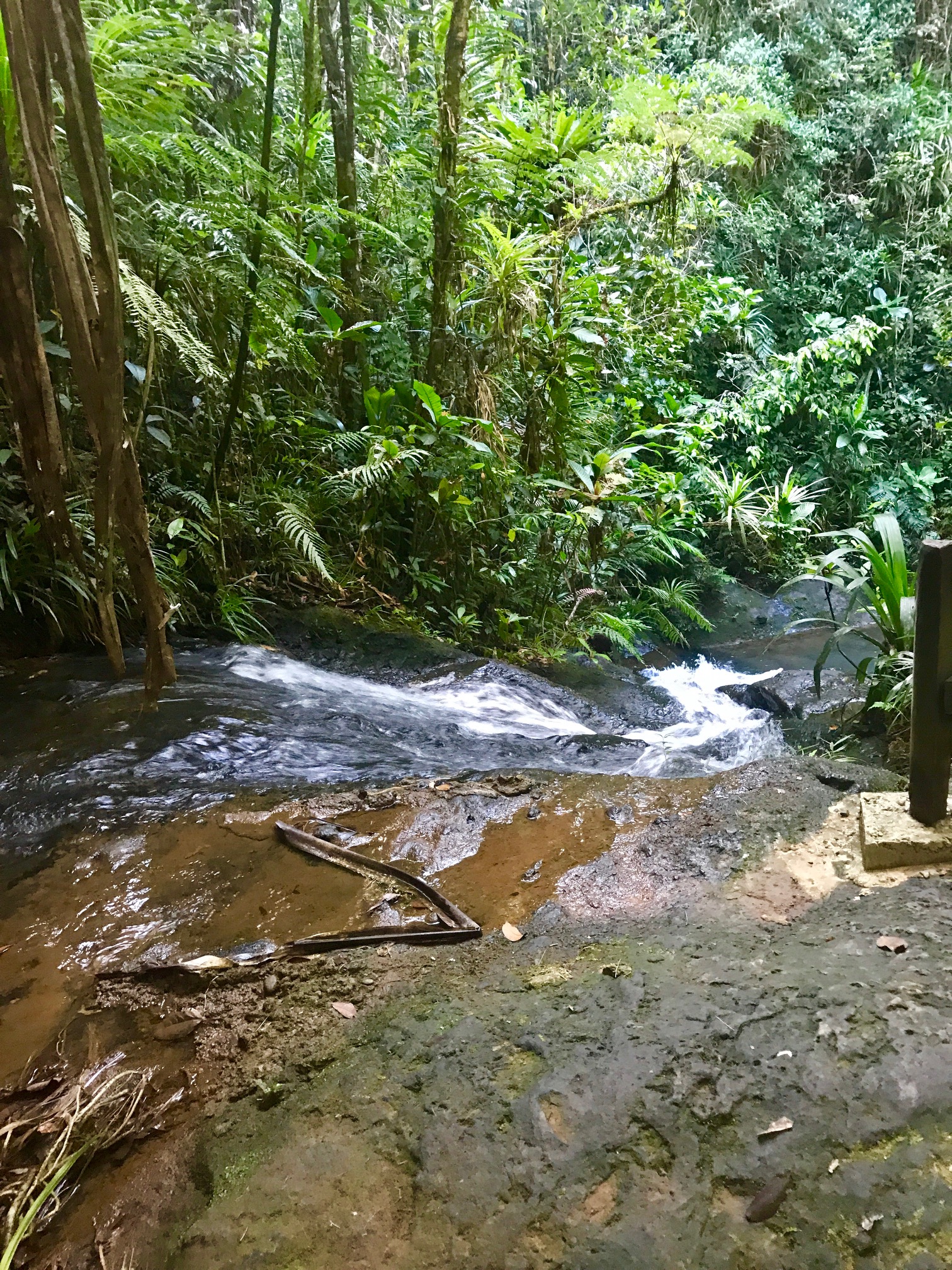 More of the hike. 