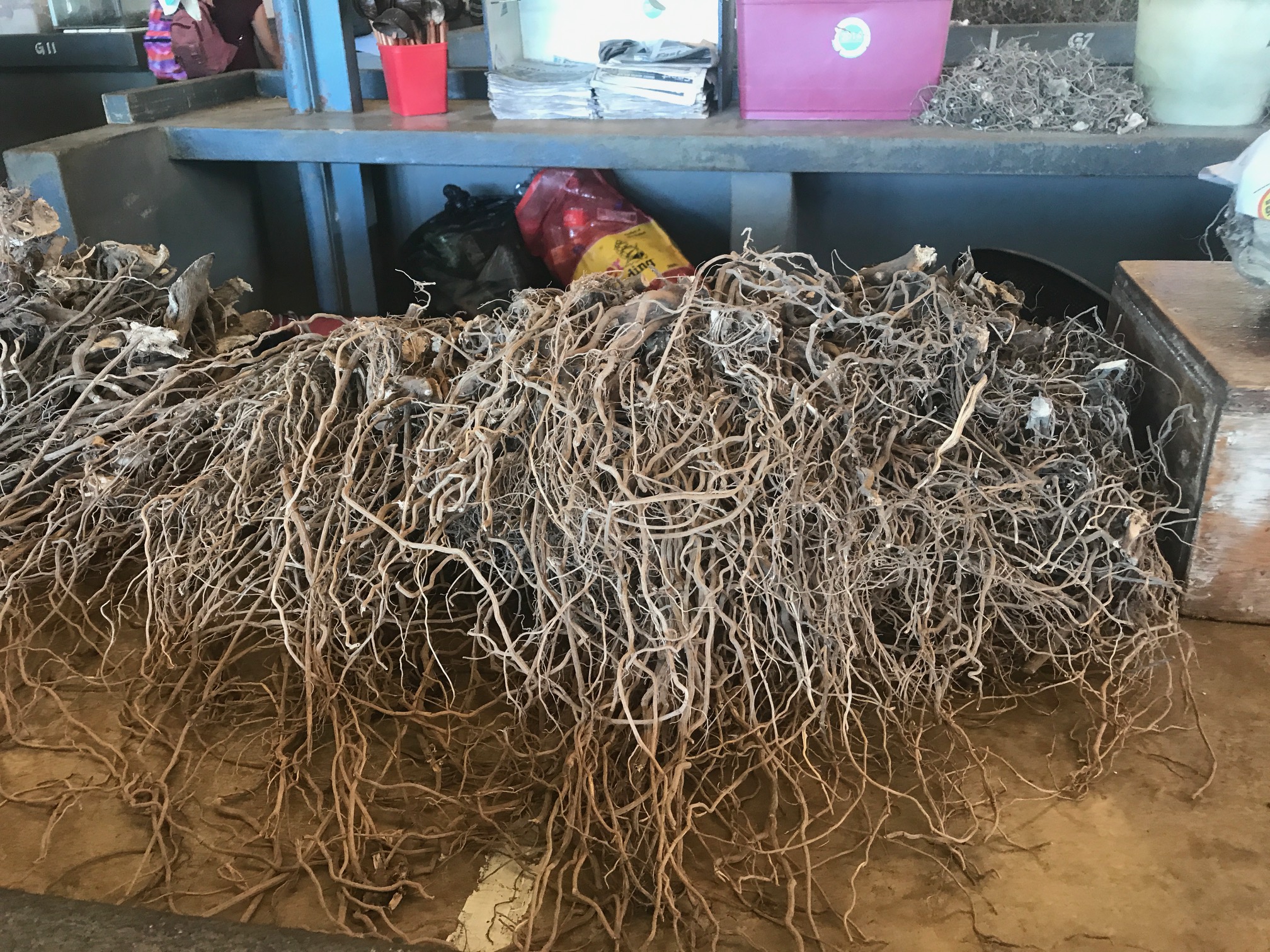 We visited a kava market in Nadi. This is a photo of what kava root looks like before it's ground into powder. 