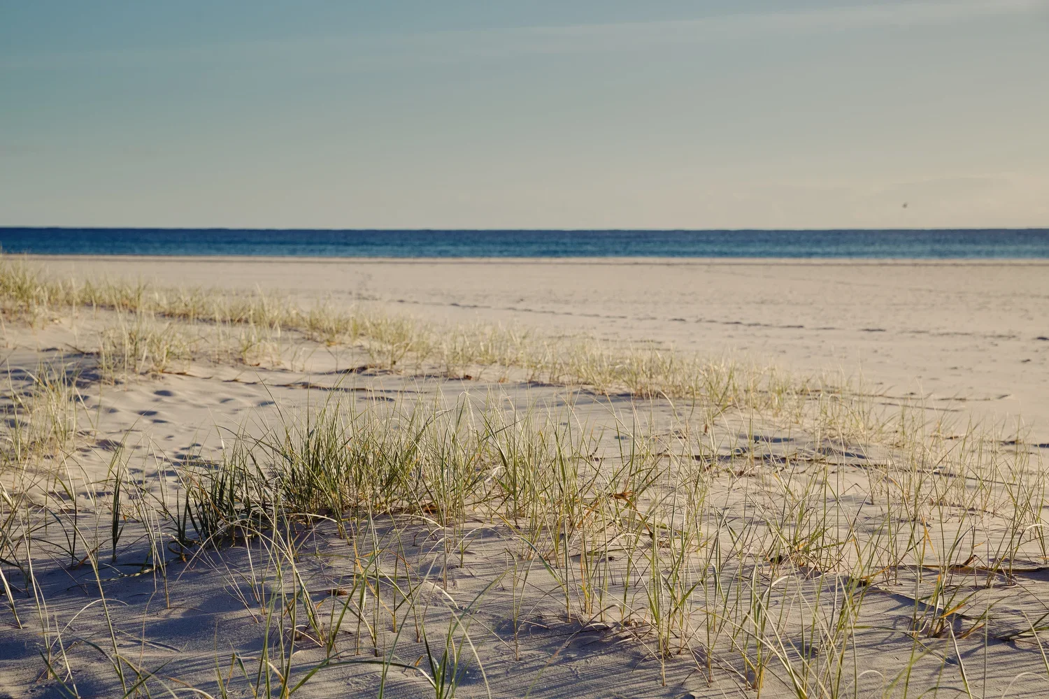 Nir0012.webp