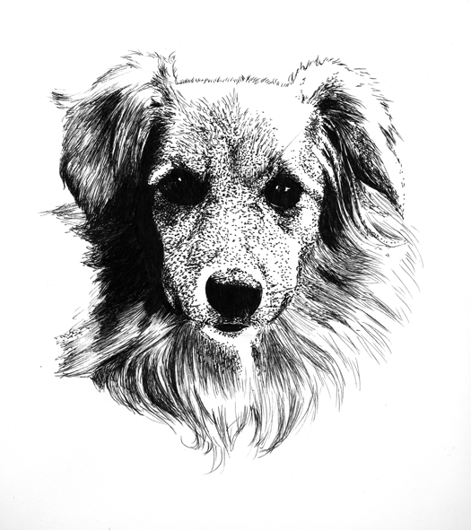 Dog_Pointillism_HannahHonig.png