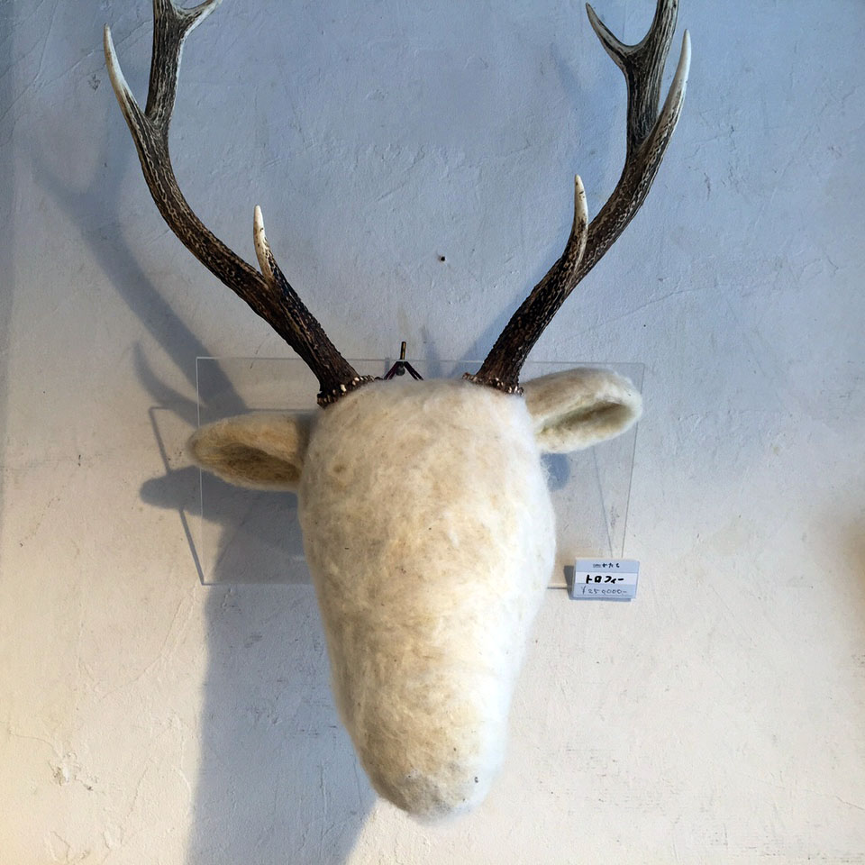 image4.jpeg