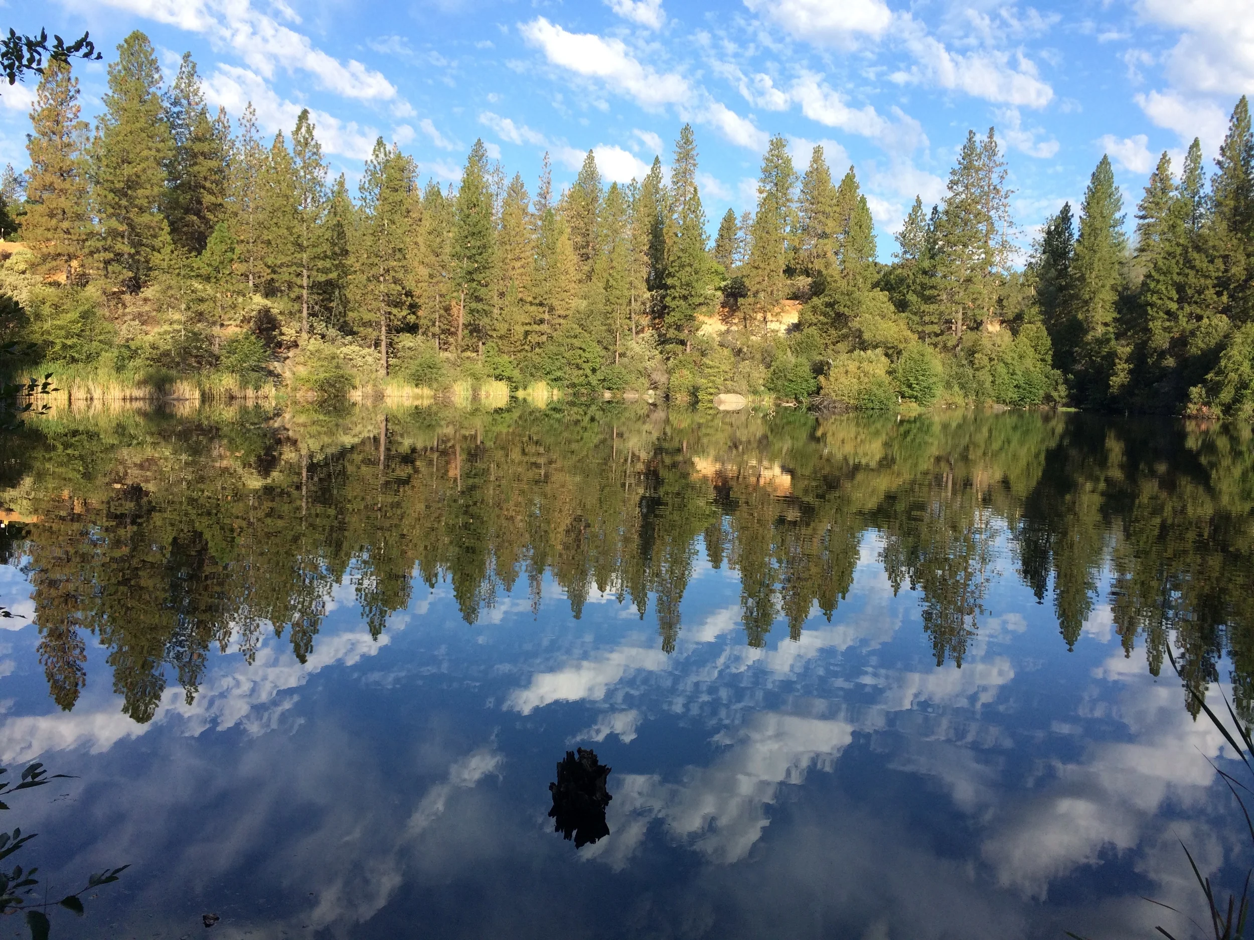  hirschman's pond - nevada city
