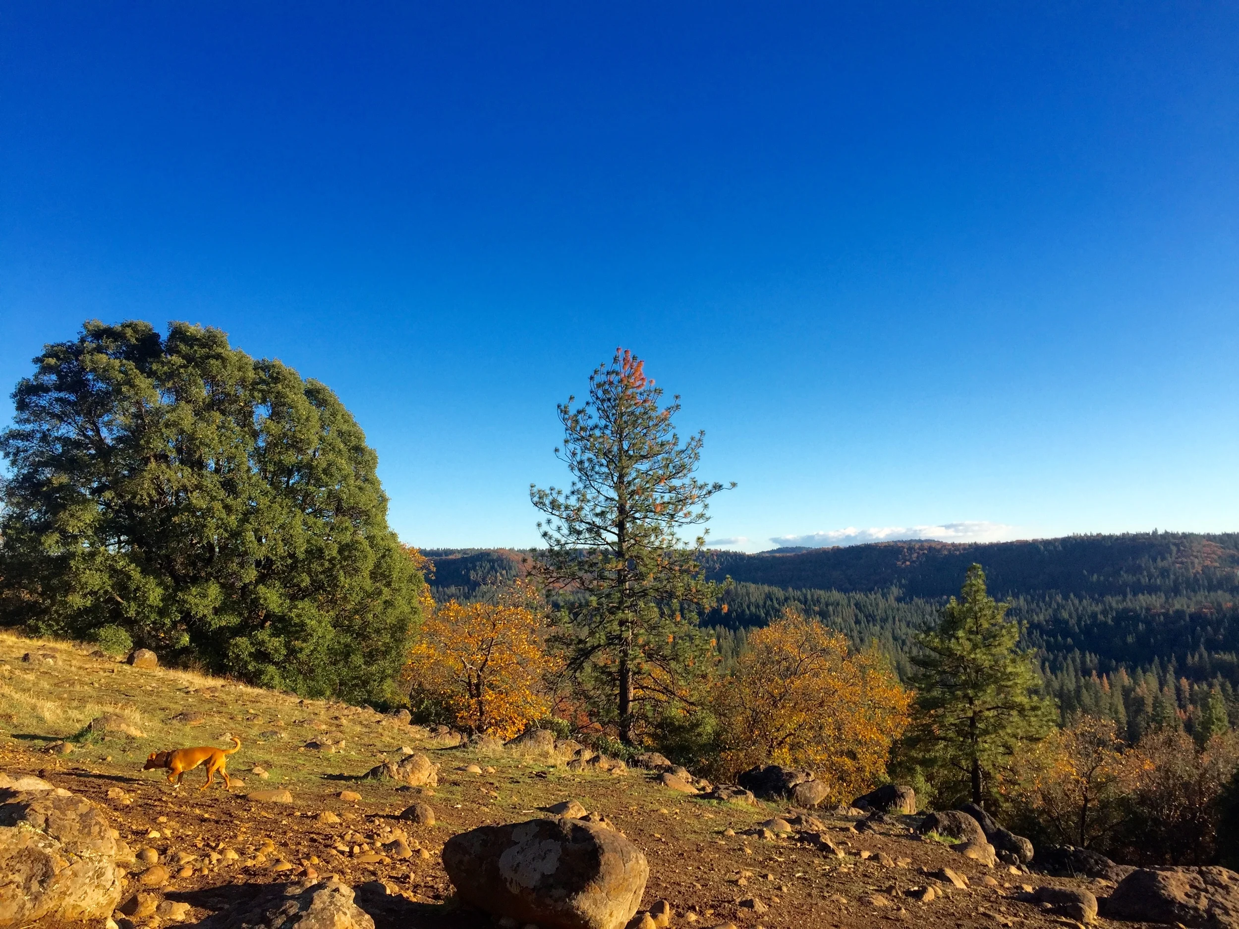 ROUND MOUNTAIN - NEVADA CITY