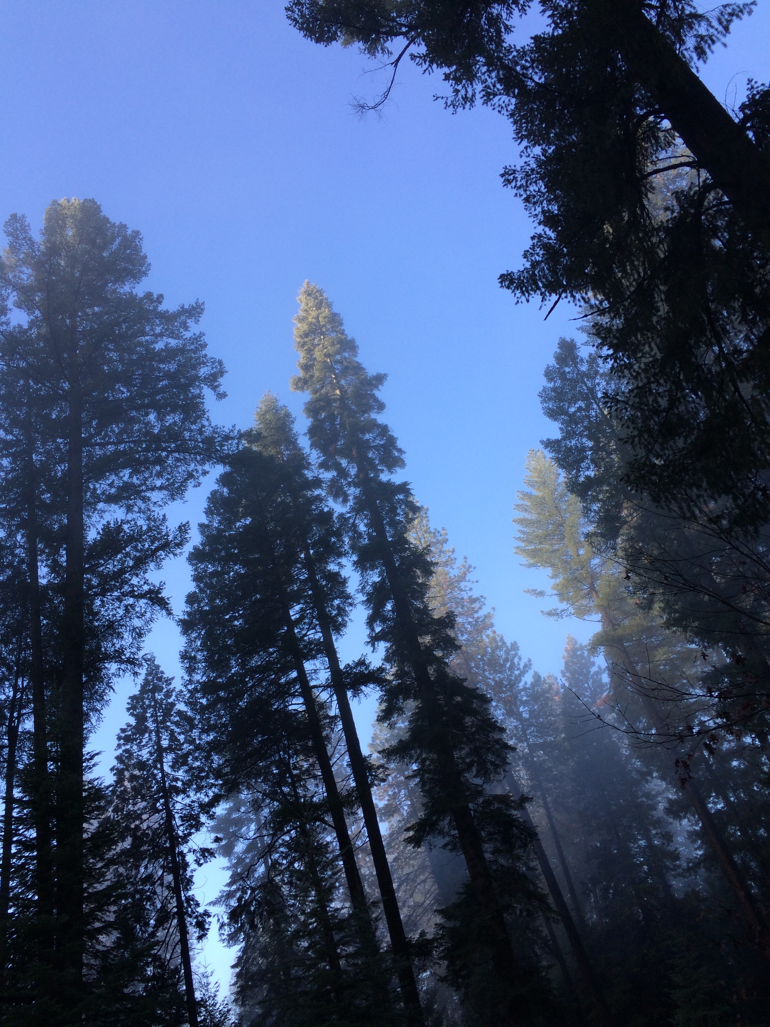  willow valley road - mosquito creek, nevada city