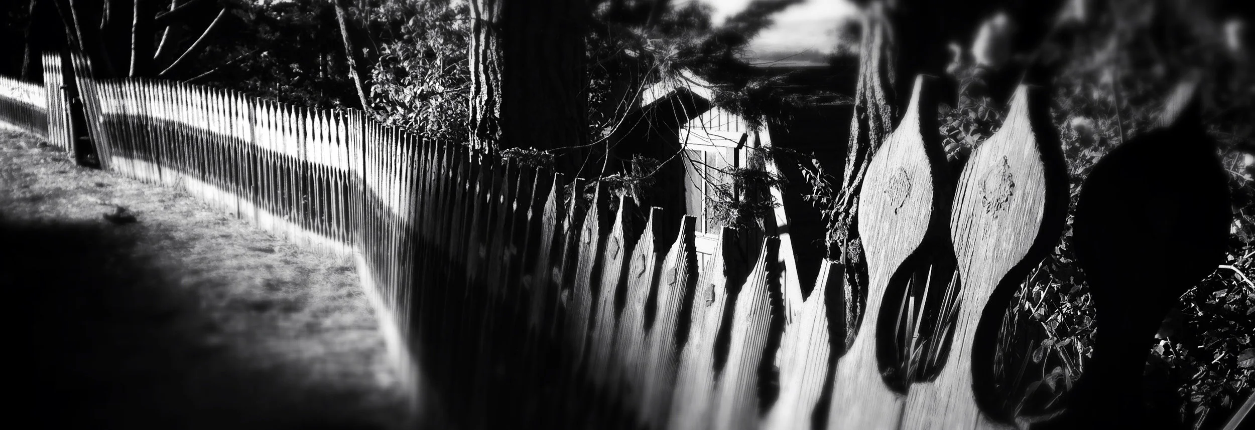 Duggan_Banner_Inverness-Fence.jpg