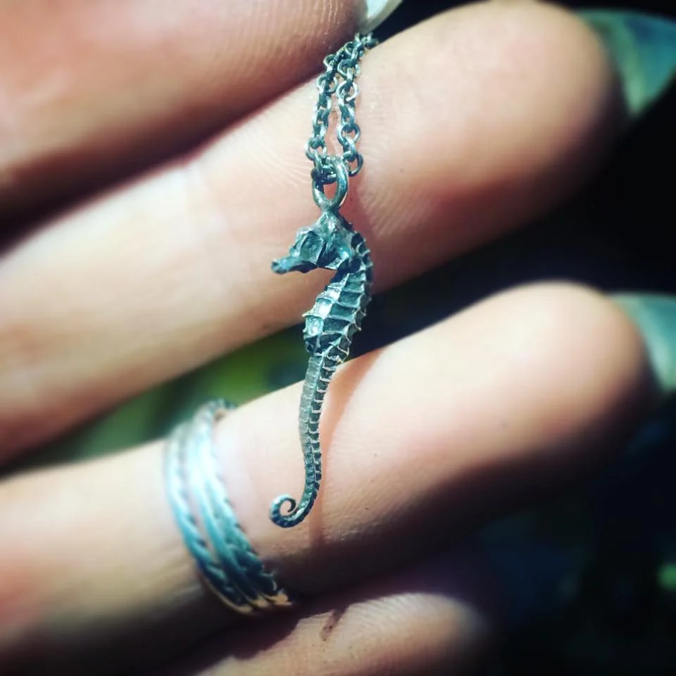 cabrina channing seahorse.jpg