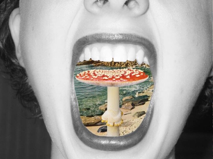 "Mush Mouth", photographic collage, 12 x 18" (matted &amp; framed behind glass: $150 / giclee print on metal $200)