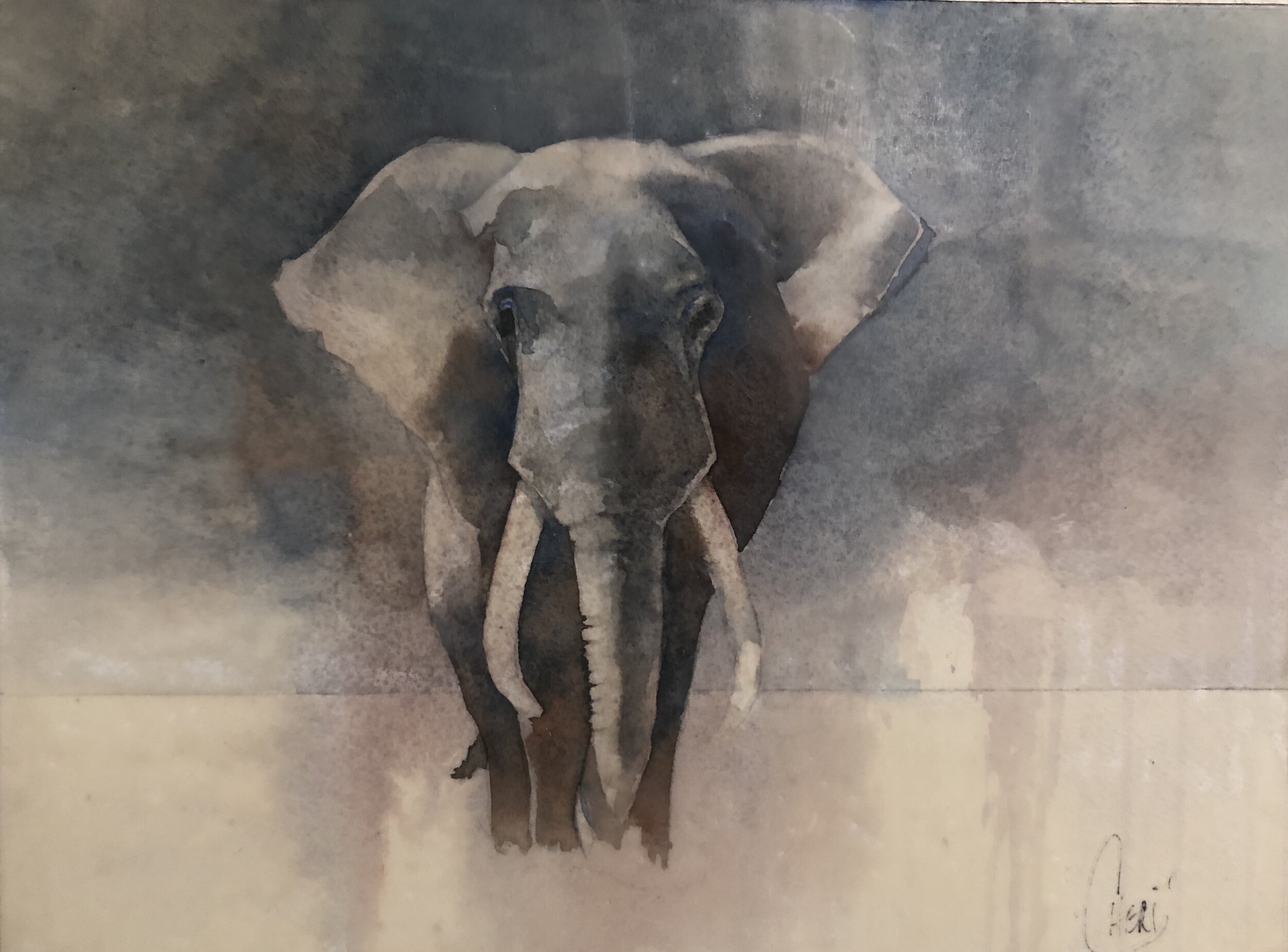 “Emerging Elephant” 9X12 Watercolor:Encaustic on panel $170.00.jpg