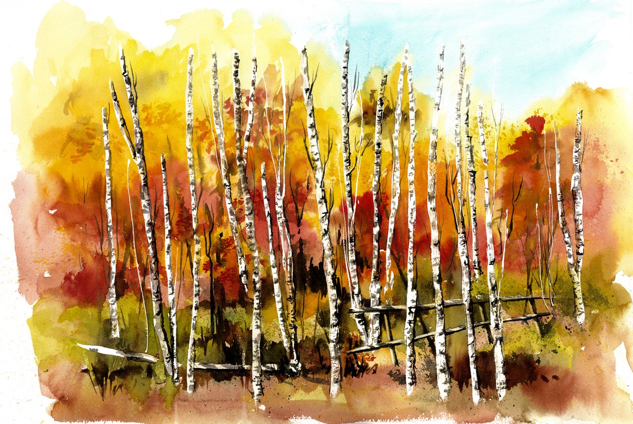 Dori Greenbaum.Birch Forest.jpeg