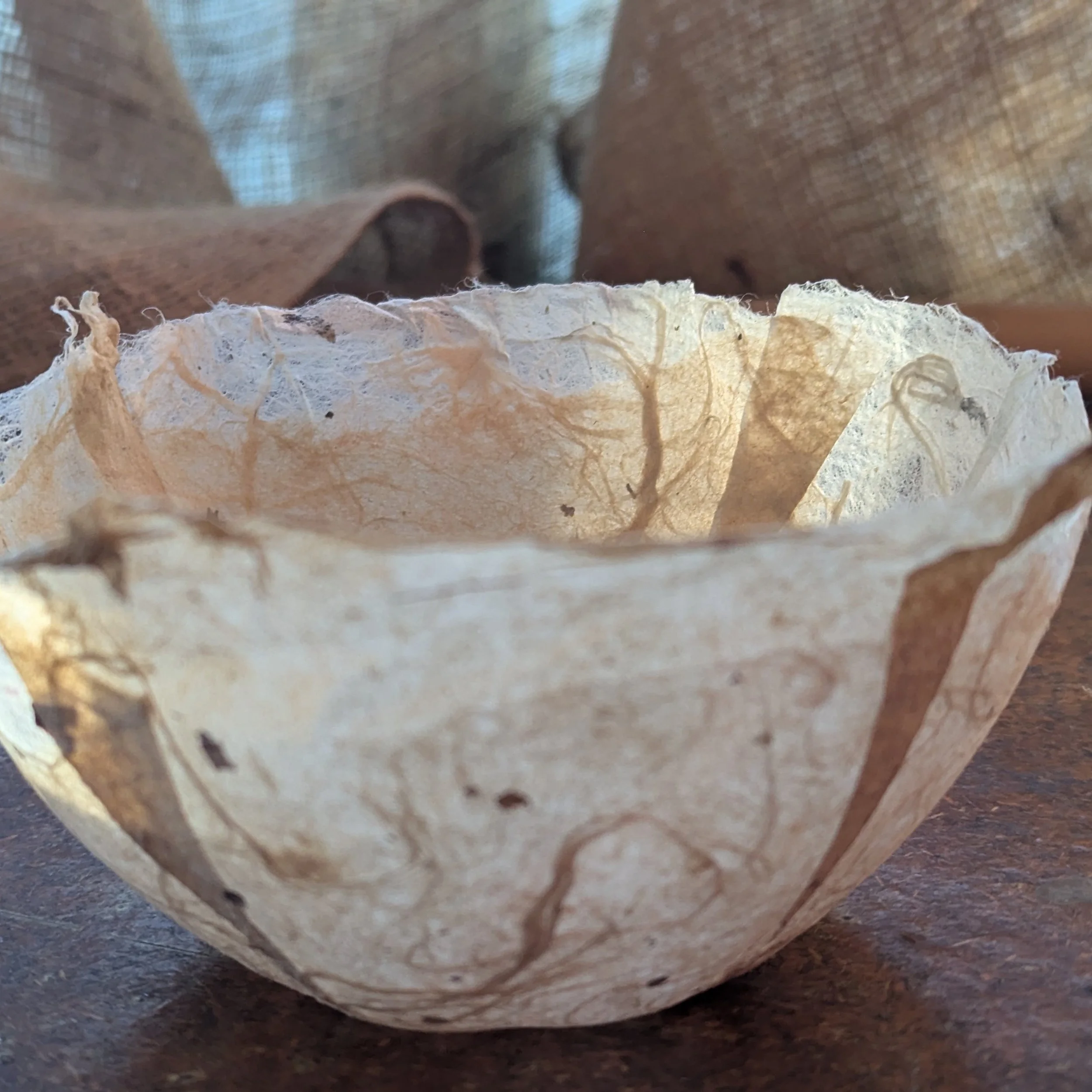 Luminous bowl image.cropped.jpeg