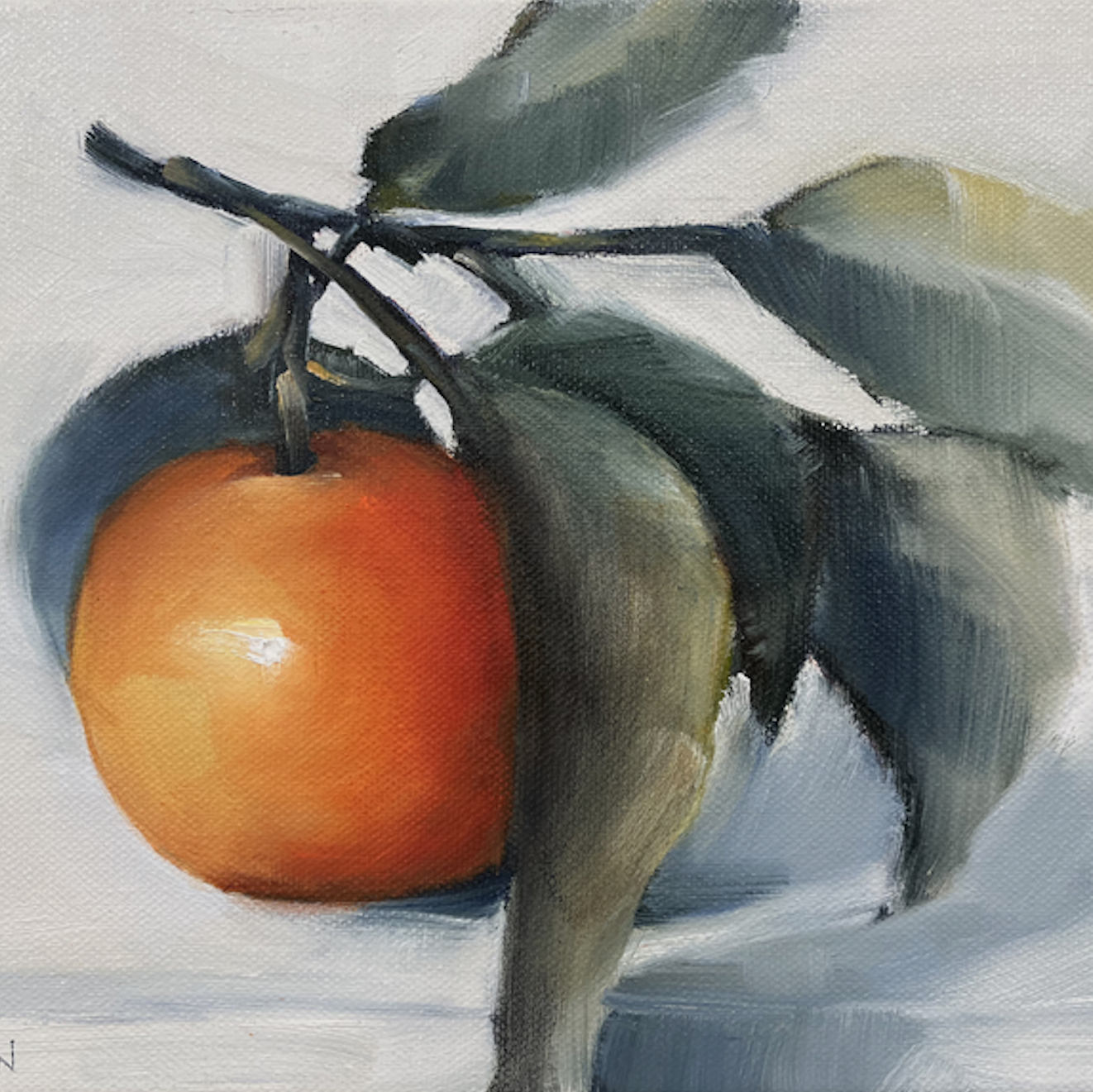 Cheryl Wilson.Satsuma..png