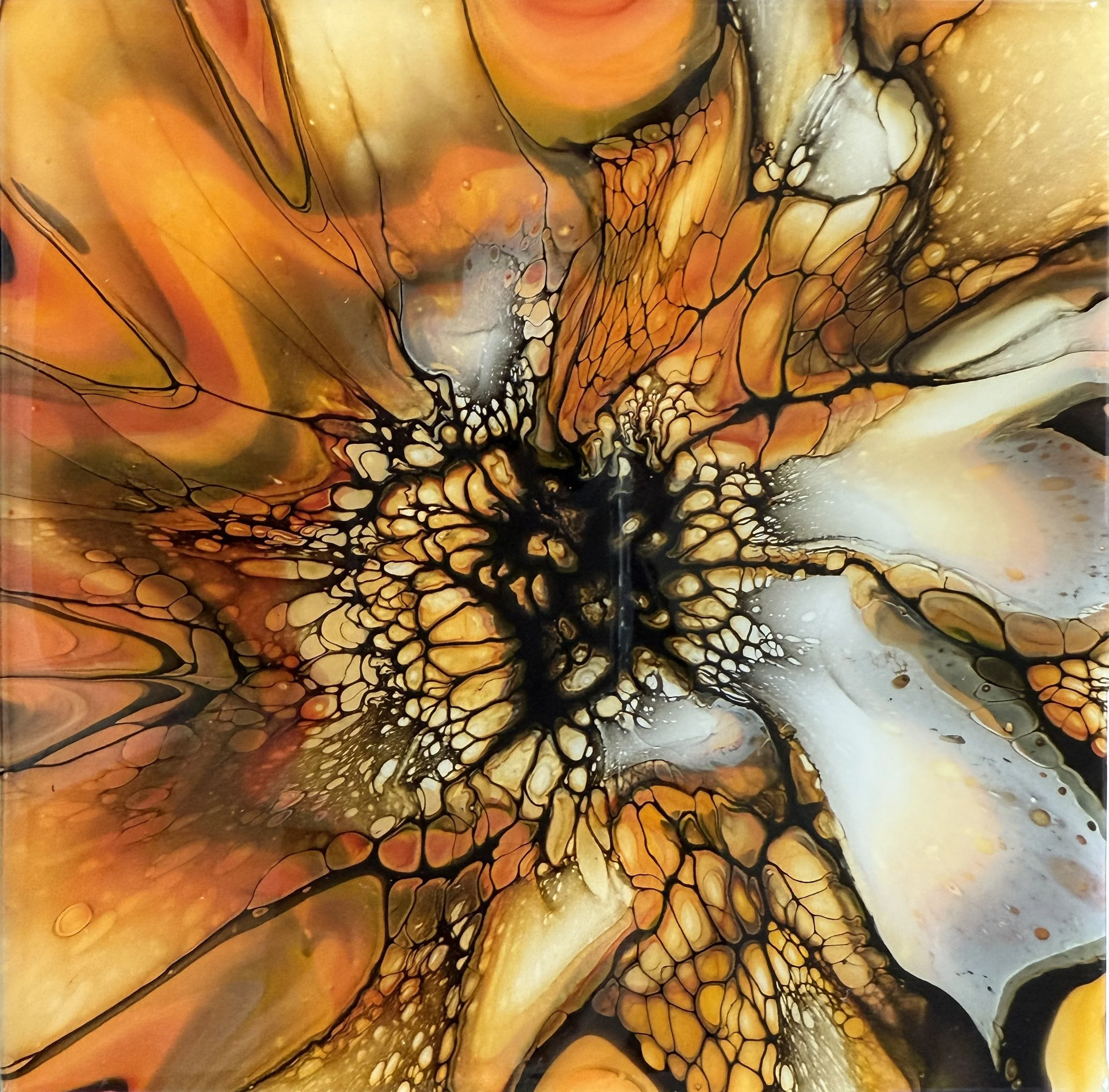 Michelle Jewett.Amber.JPG