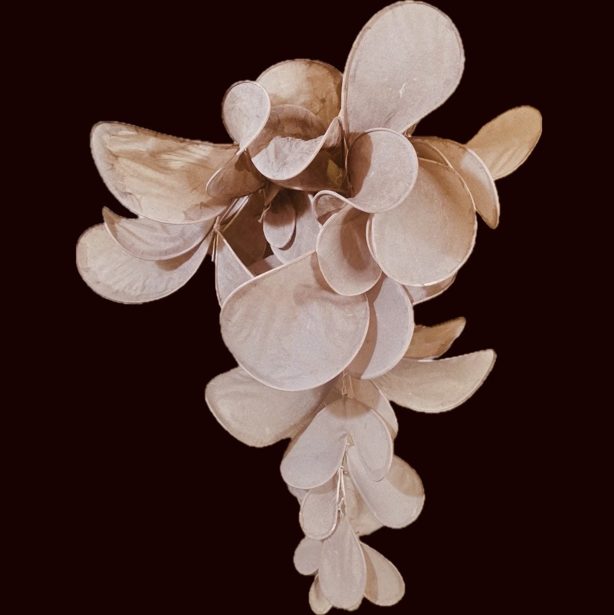 Lani Zila.Paper Sculpture.jpg