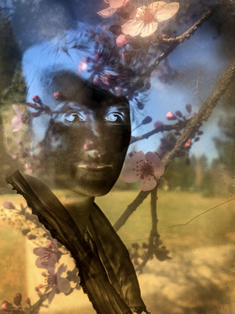 David Arnold.Embodied Show Image.png