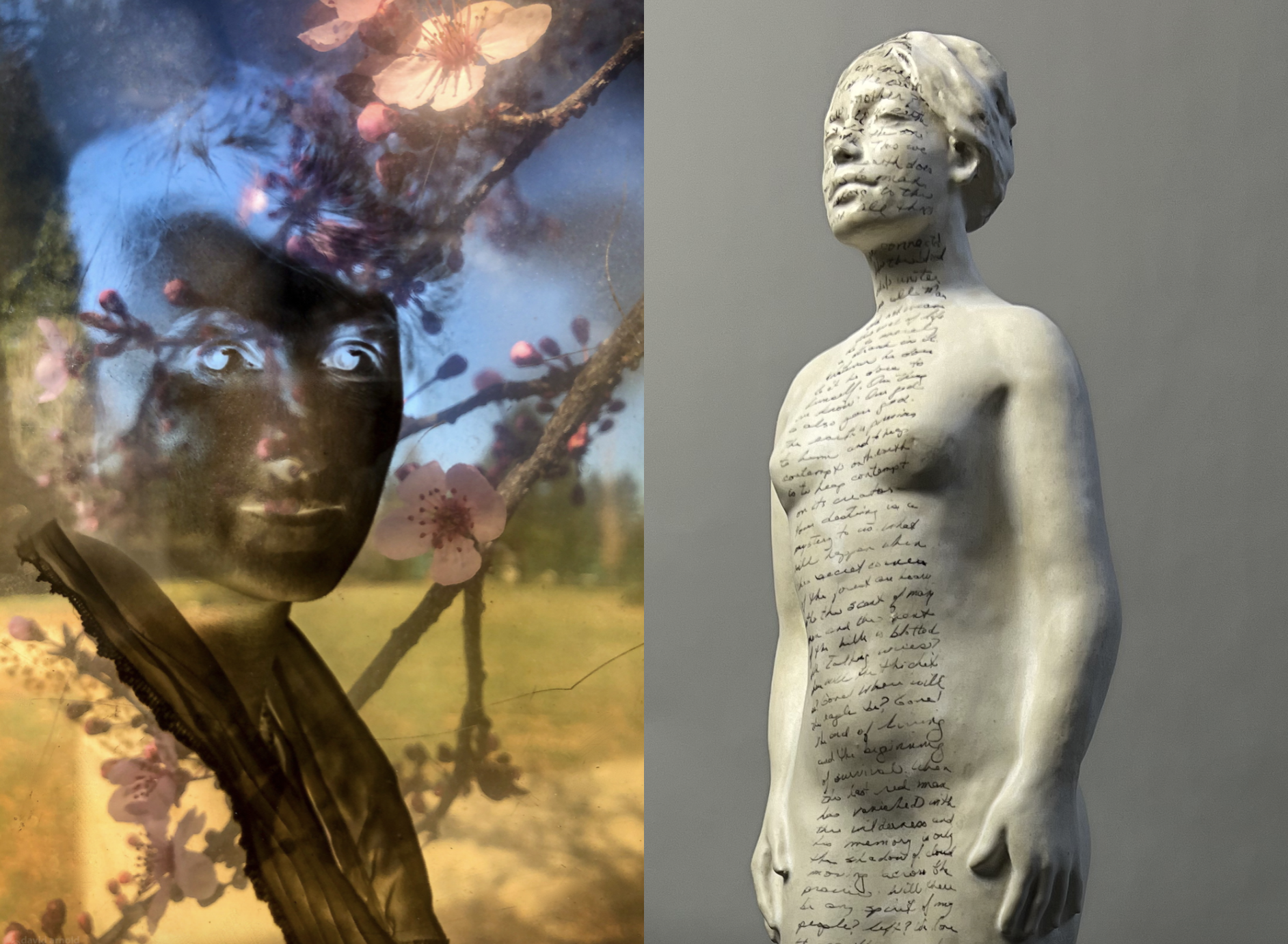 EMBODIED.2 image.png