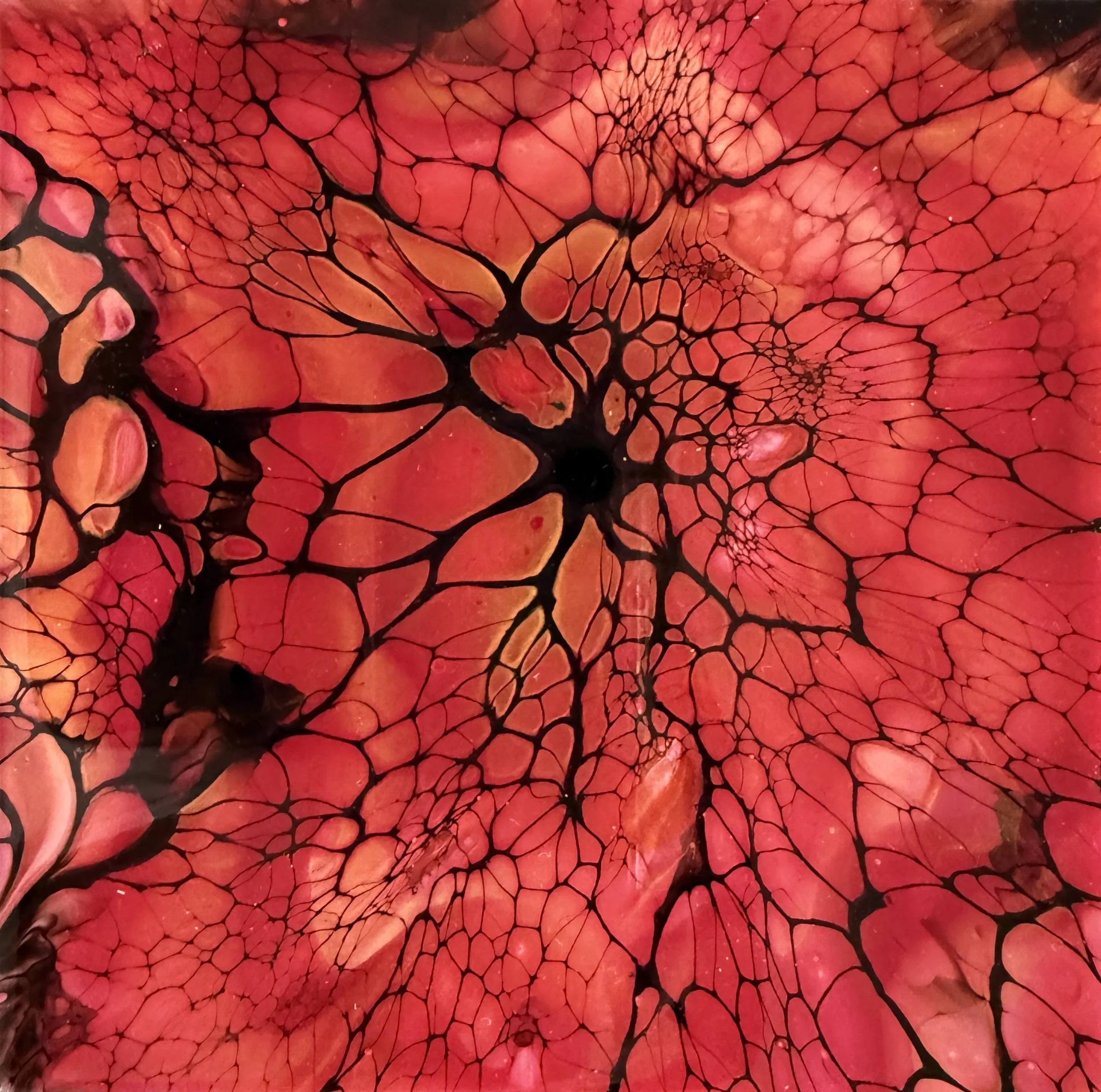 Michelle Jewett.Vermillion.JPG