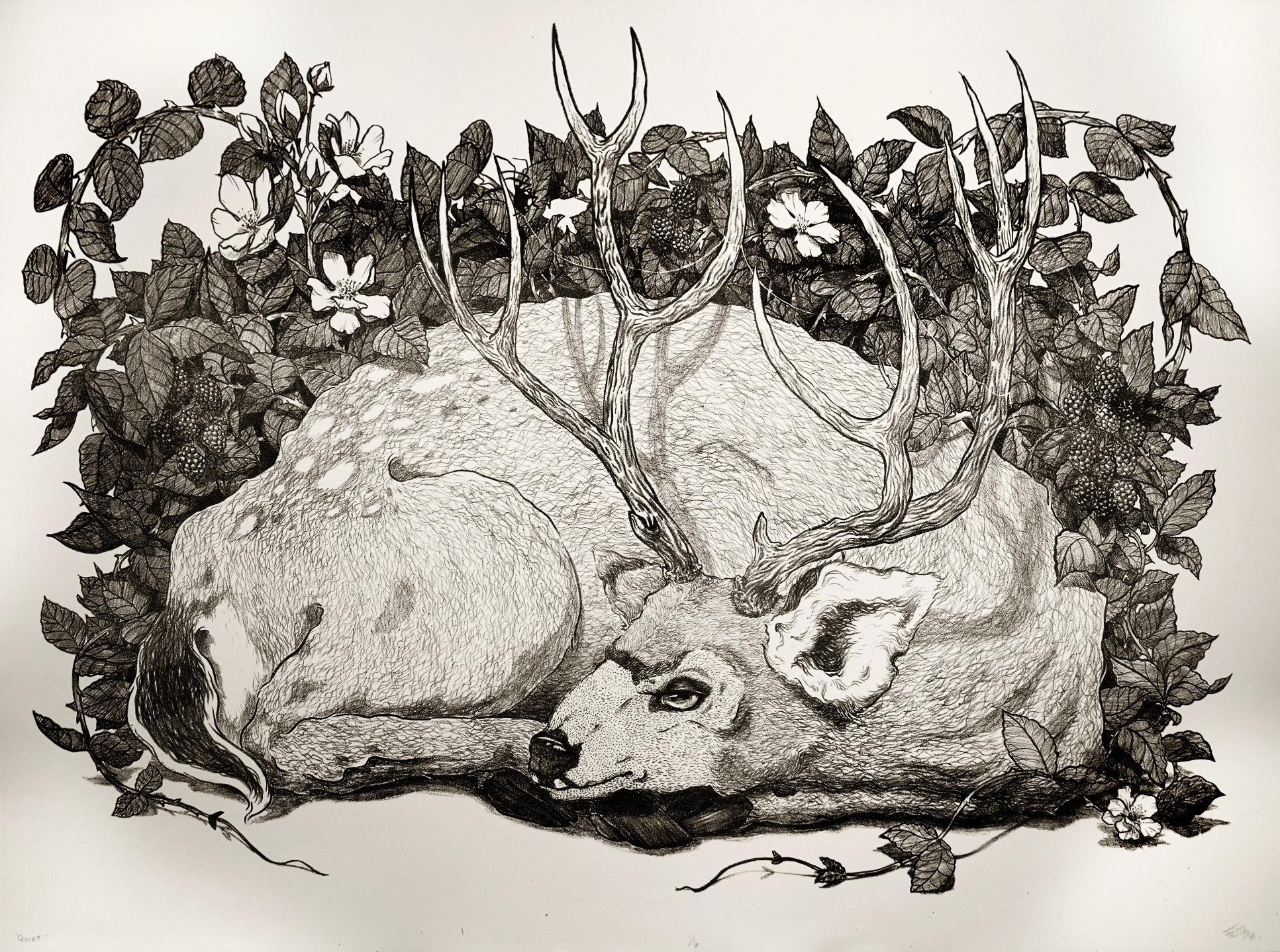 Rachel Fritz.Deer Lithograph.png